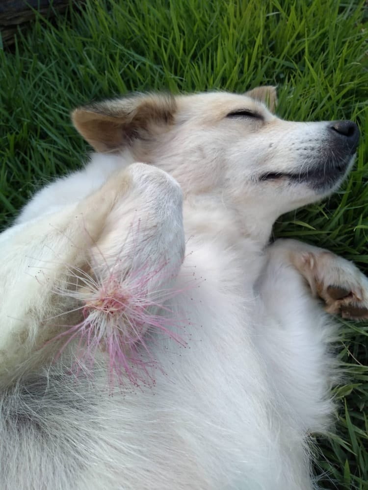 image-3