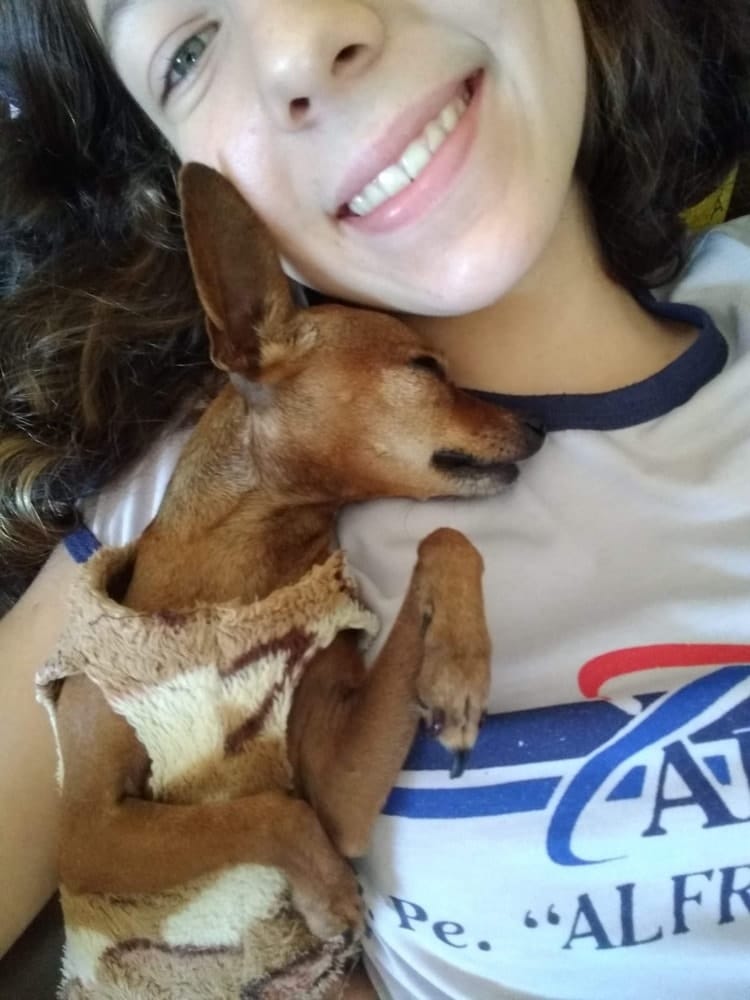 image-7