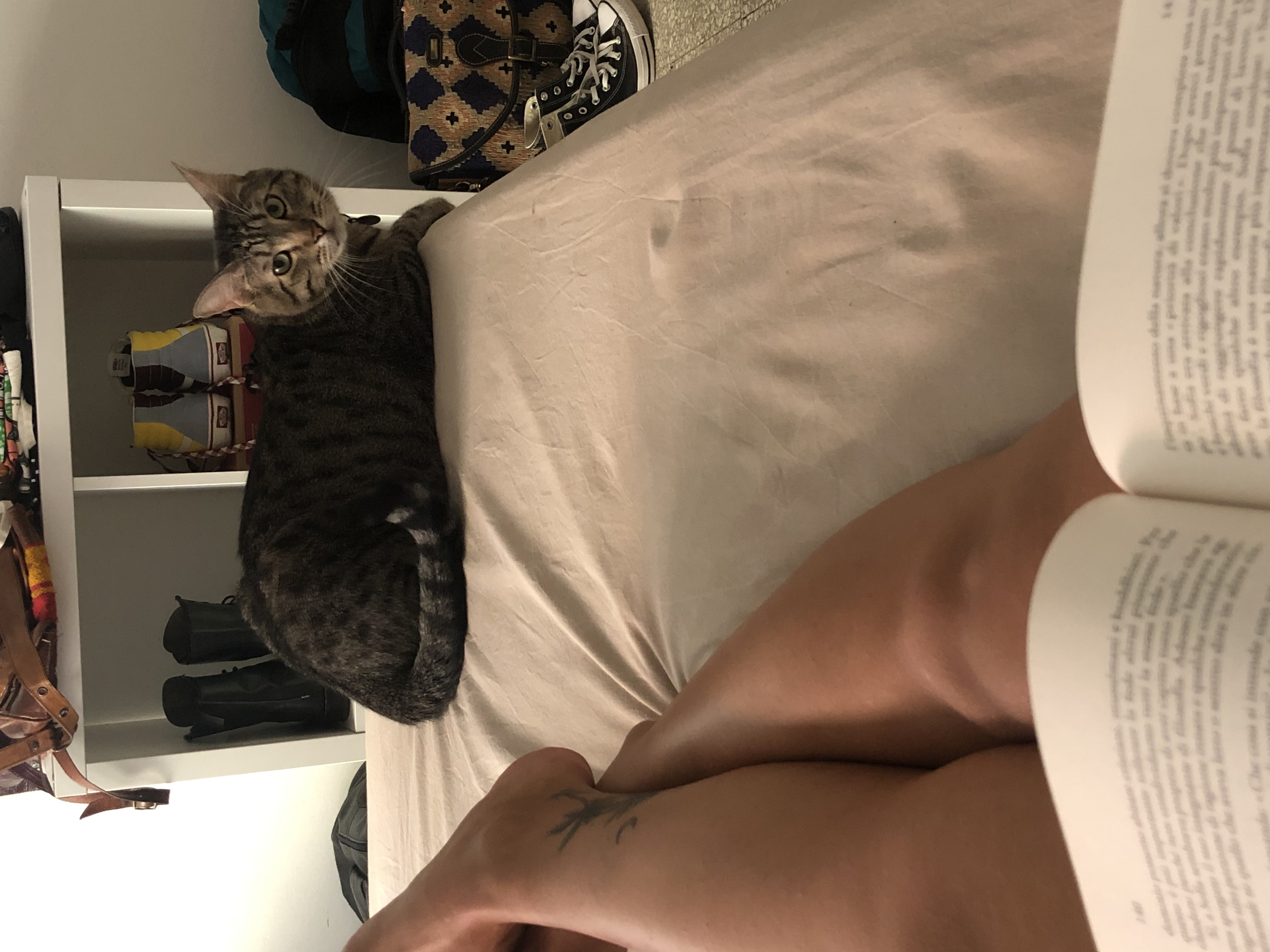 image-7