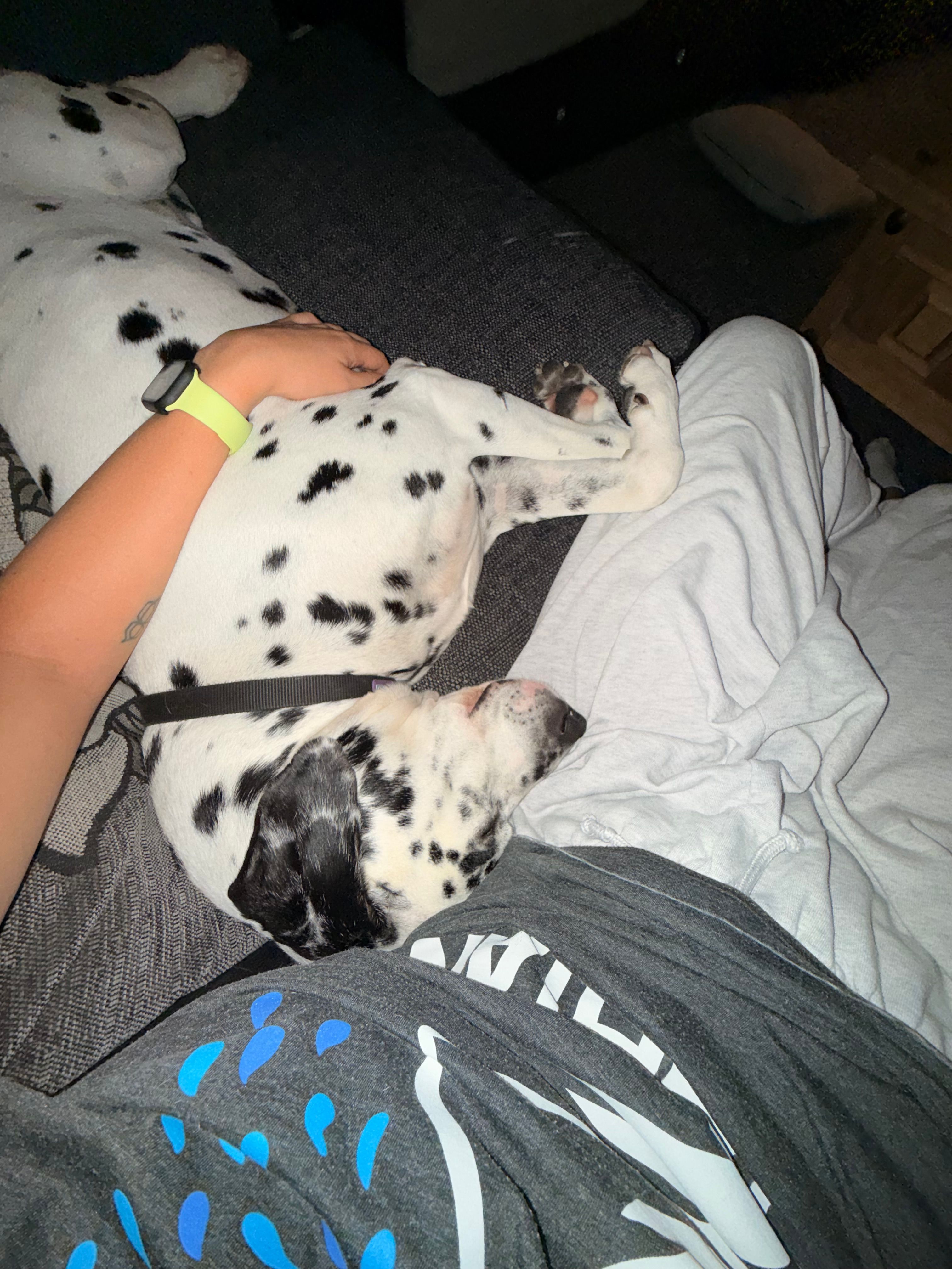 image-8