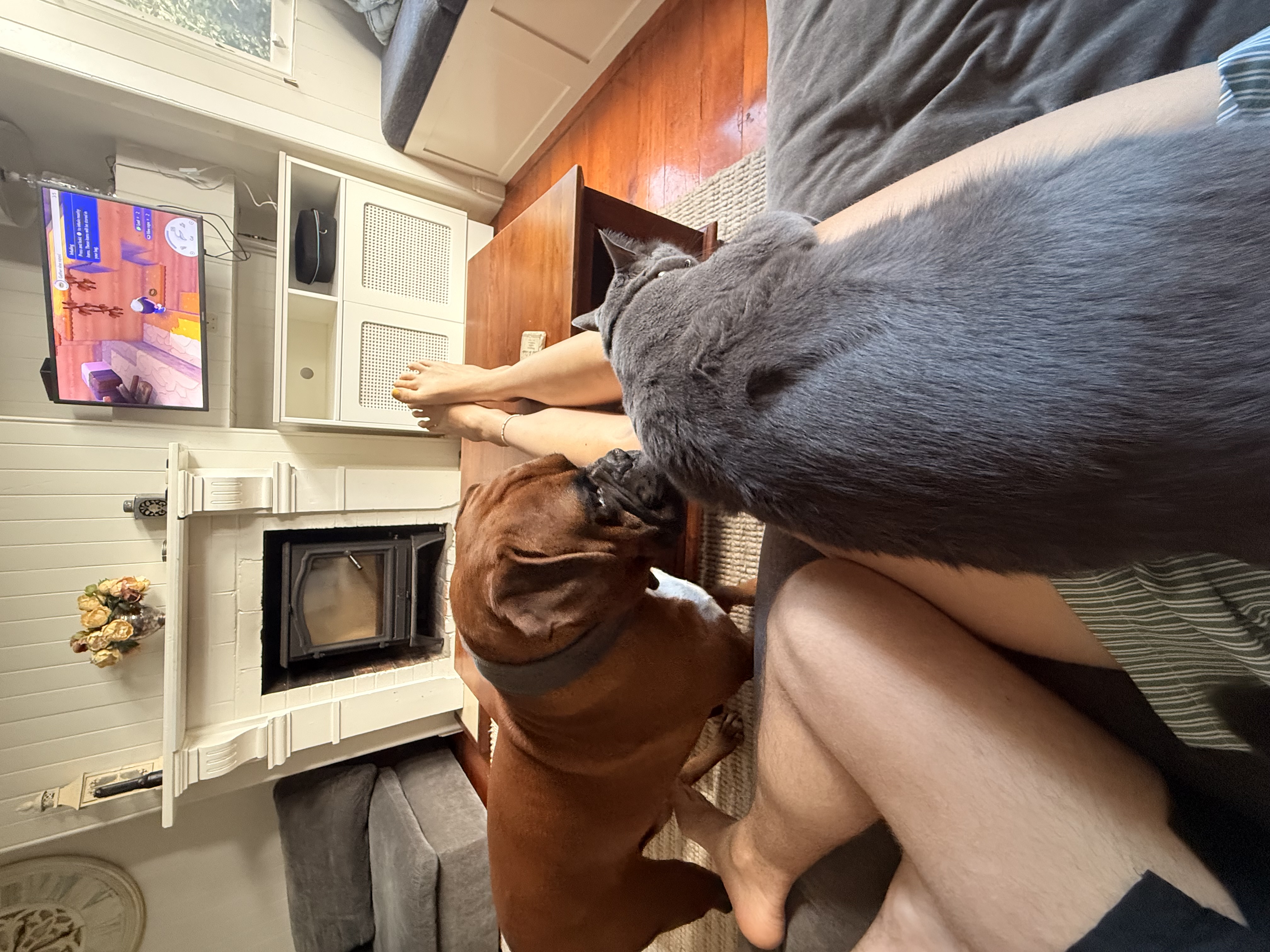 image-14