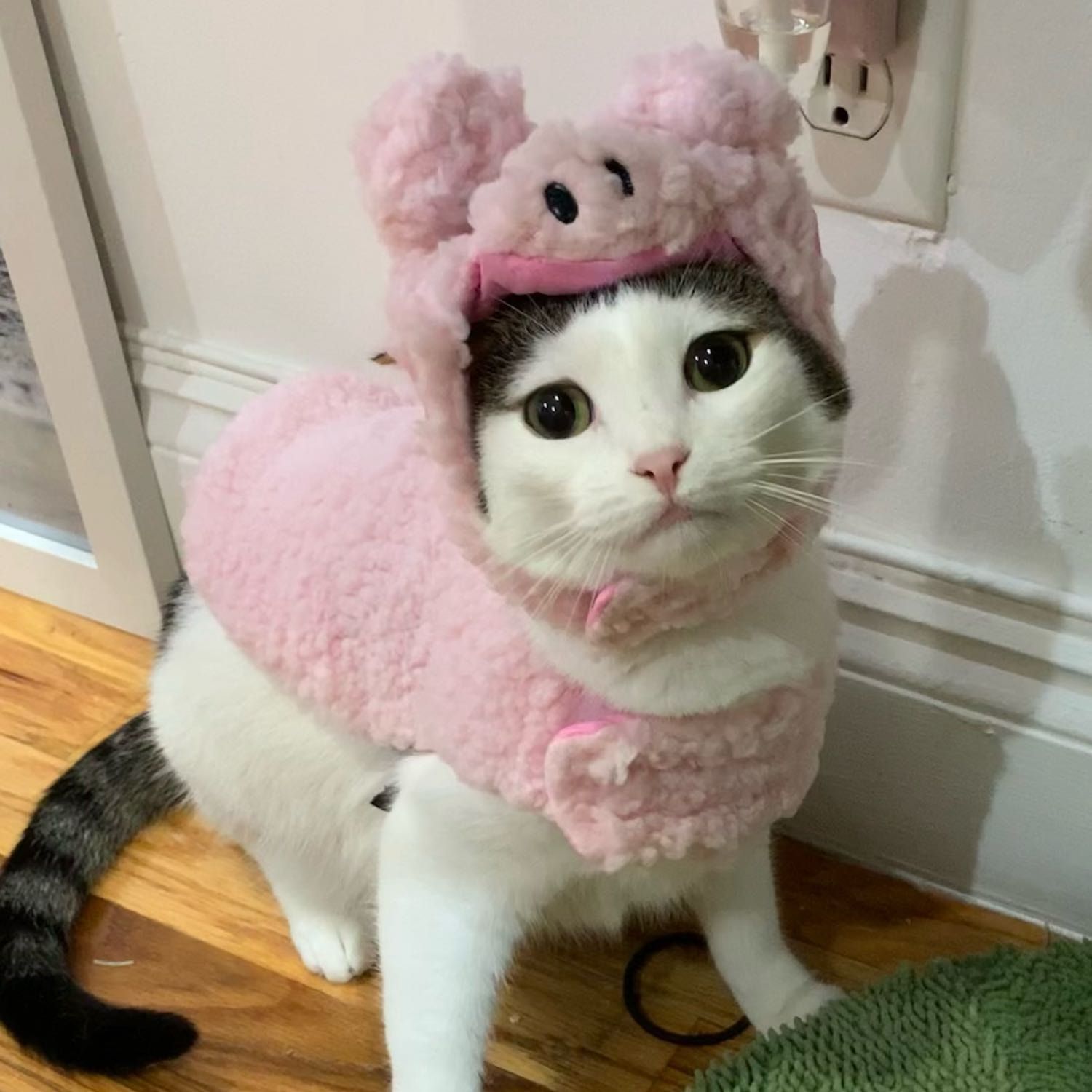 Mochi