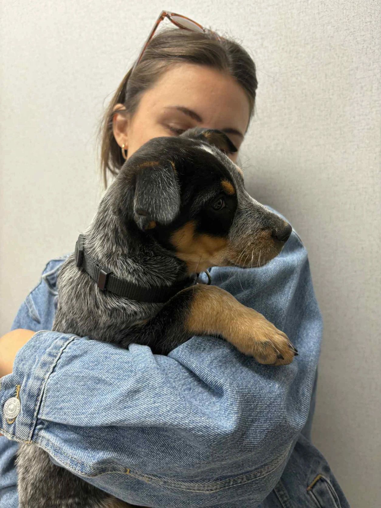 image-3