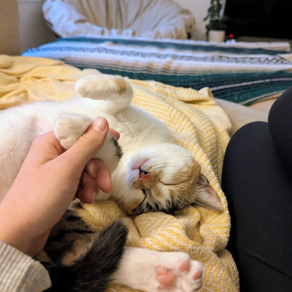 Mimi