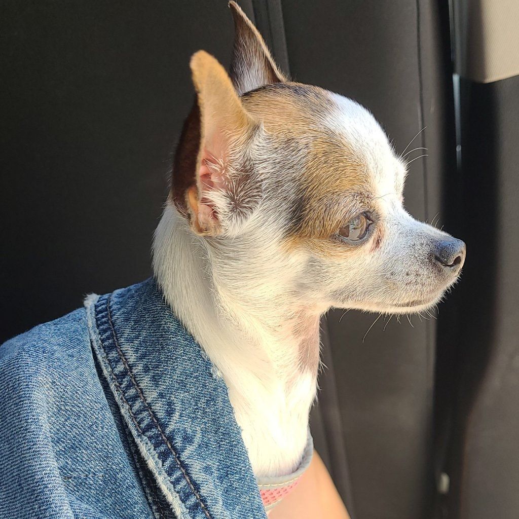 Frida