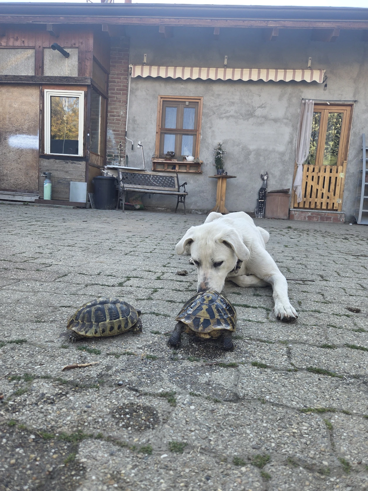 image-9