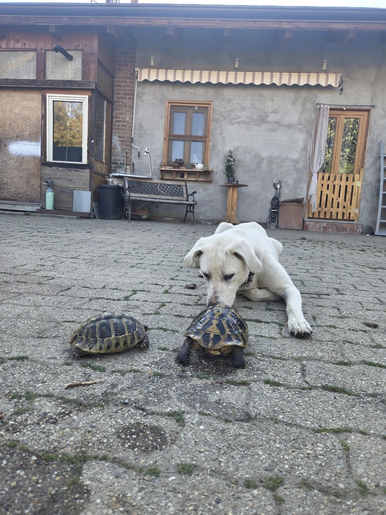 image-9