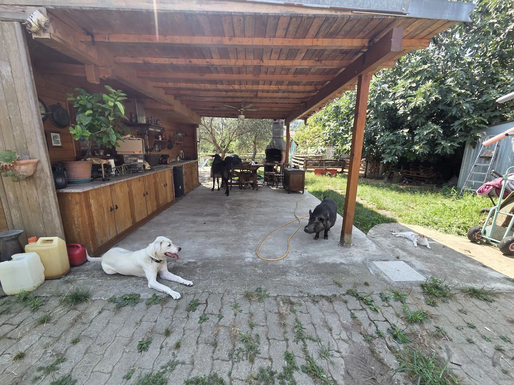 image-6
