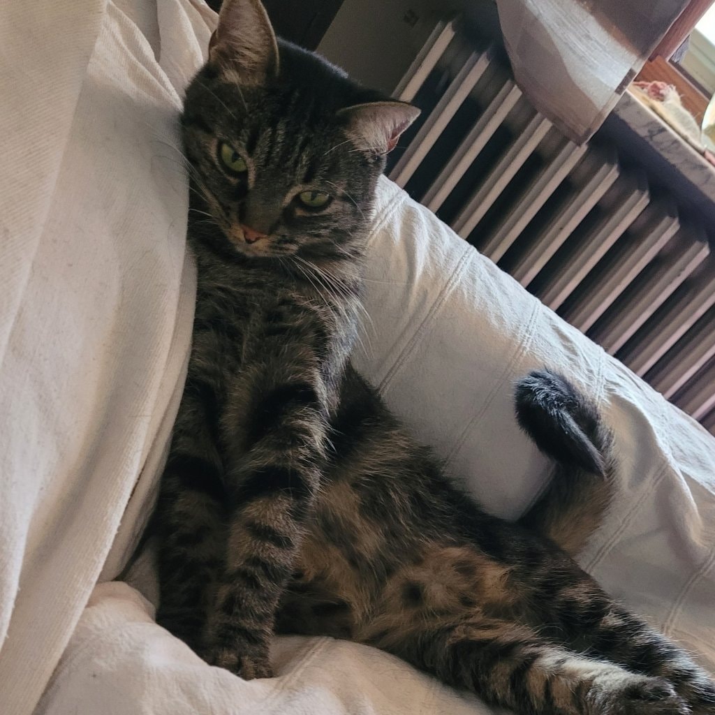 Salvador