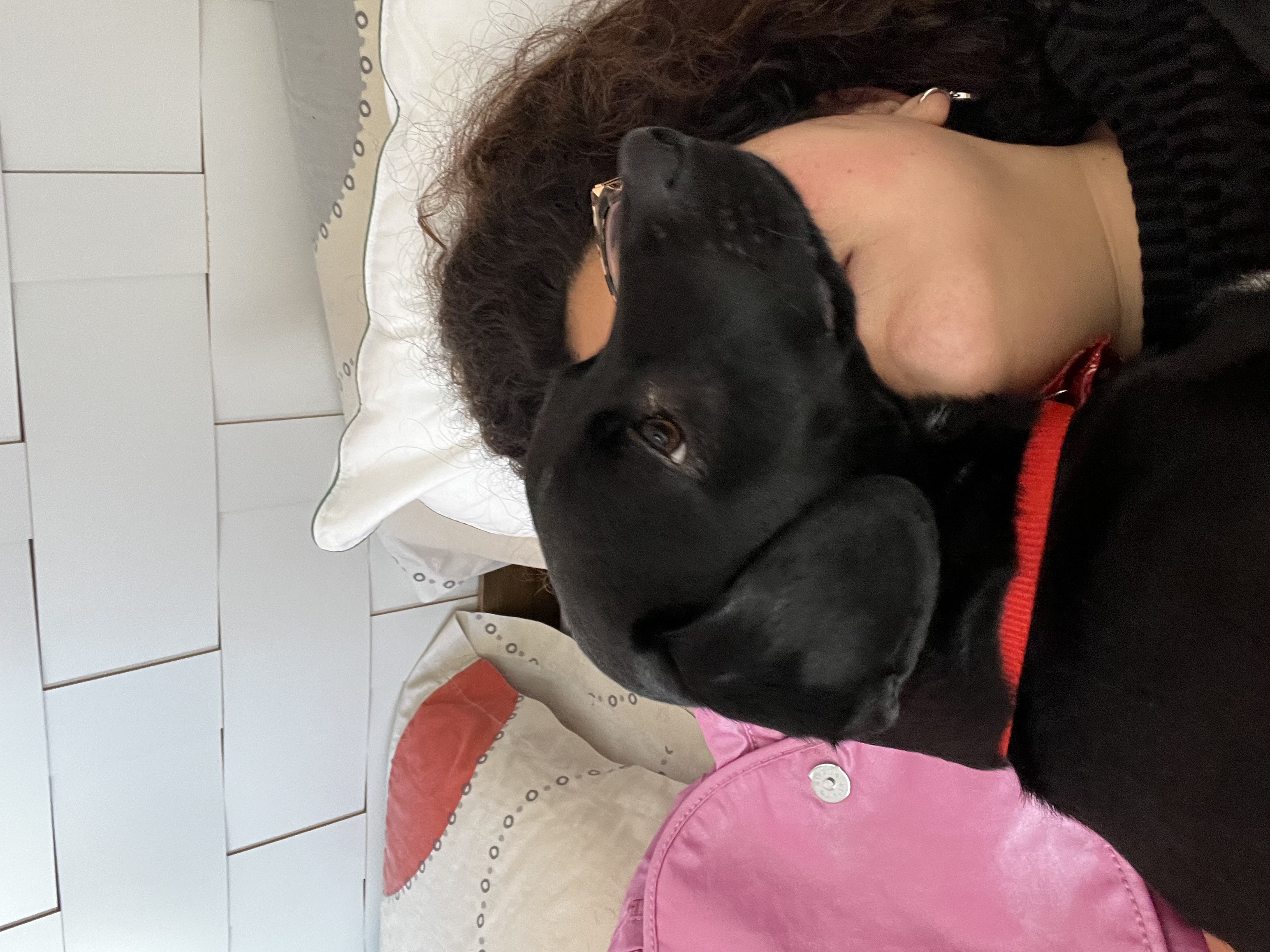 image-6