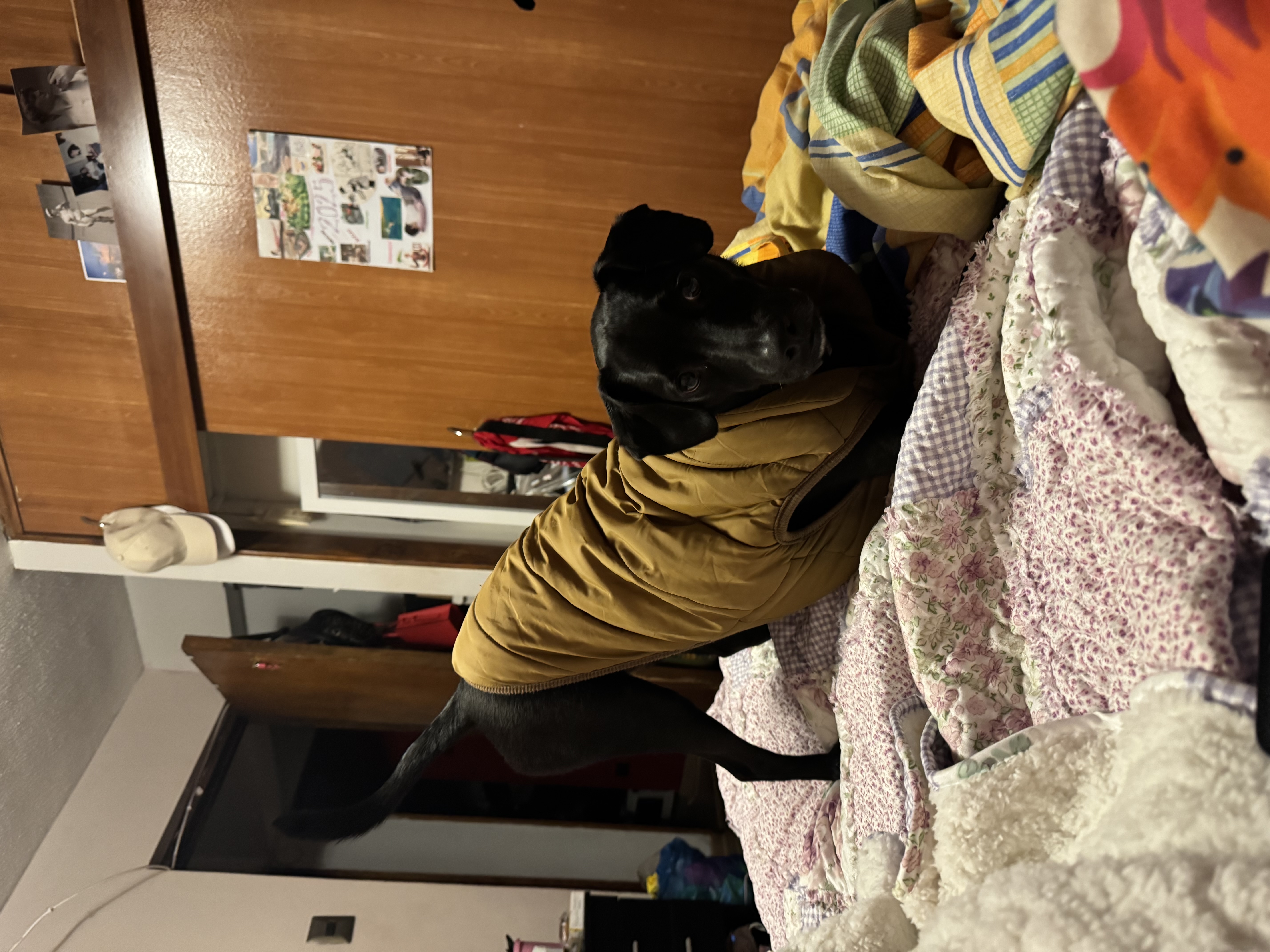 image-7