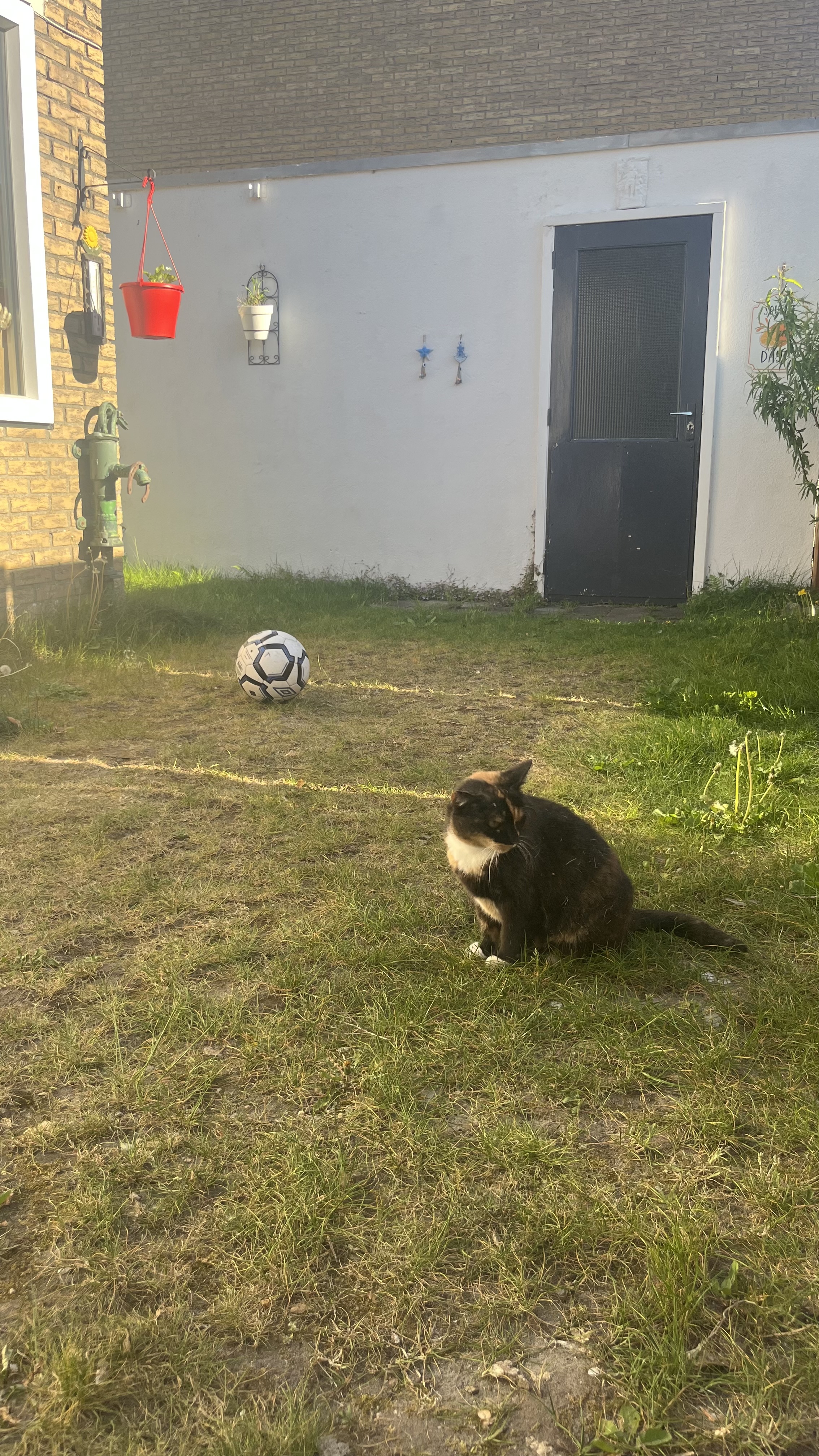 image-18