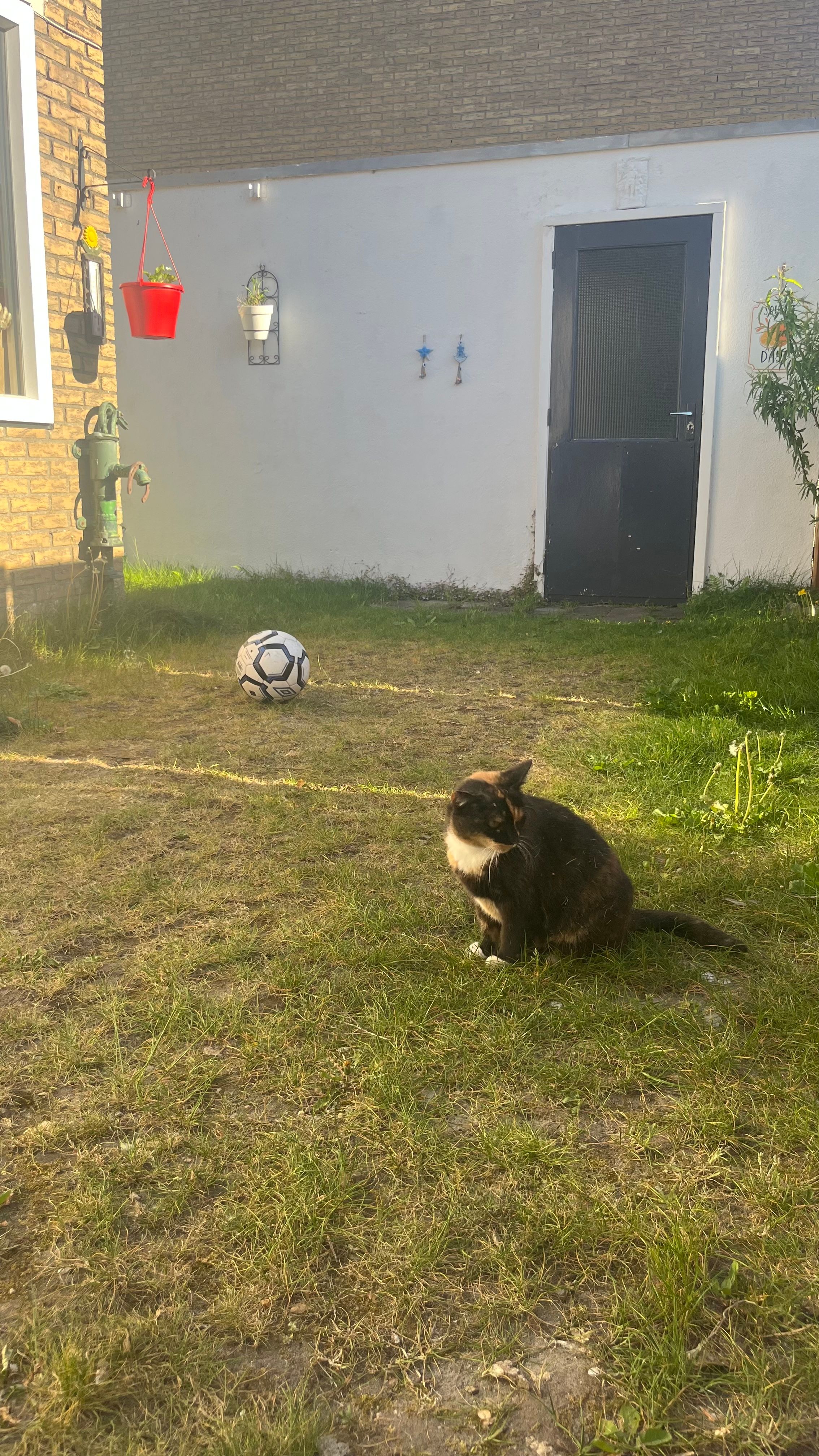 image-18