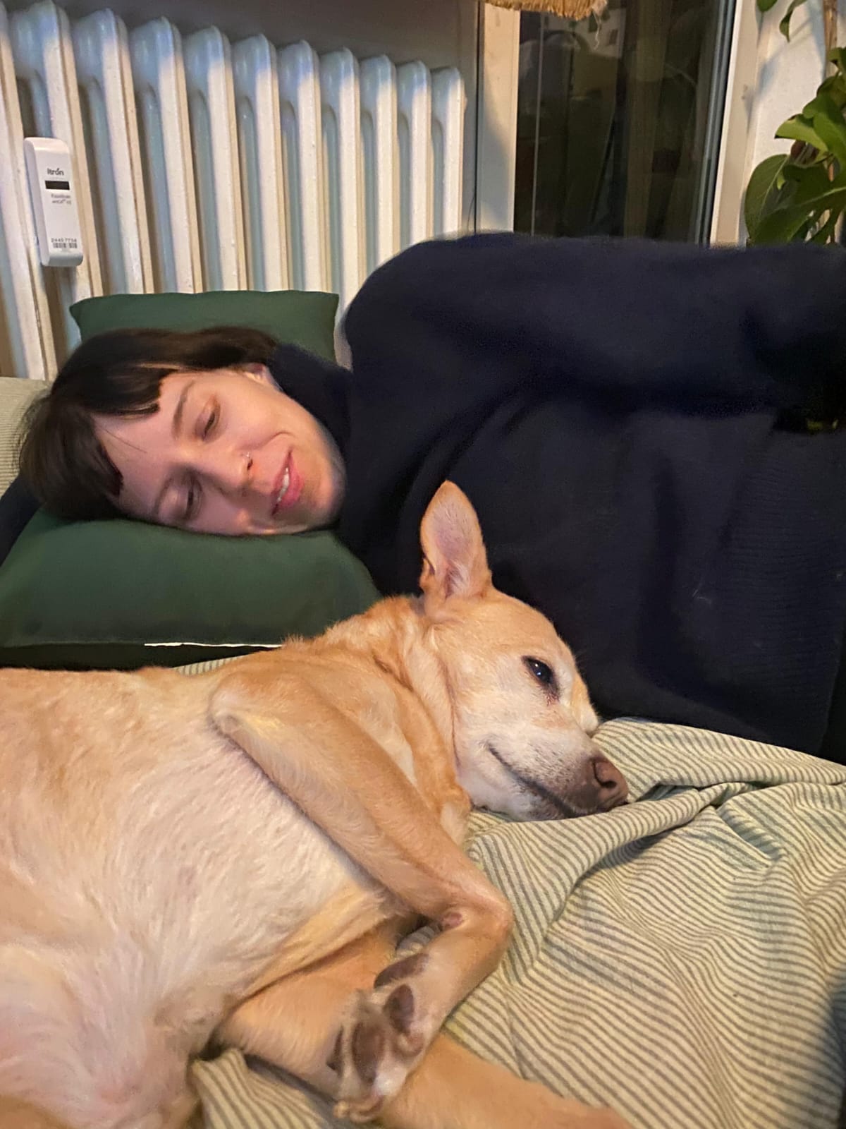 image-14