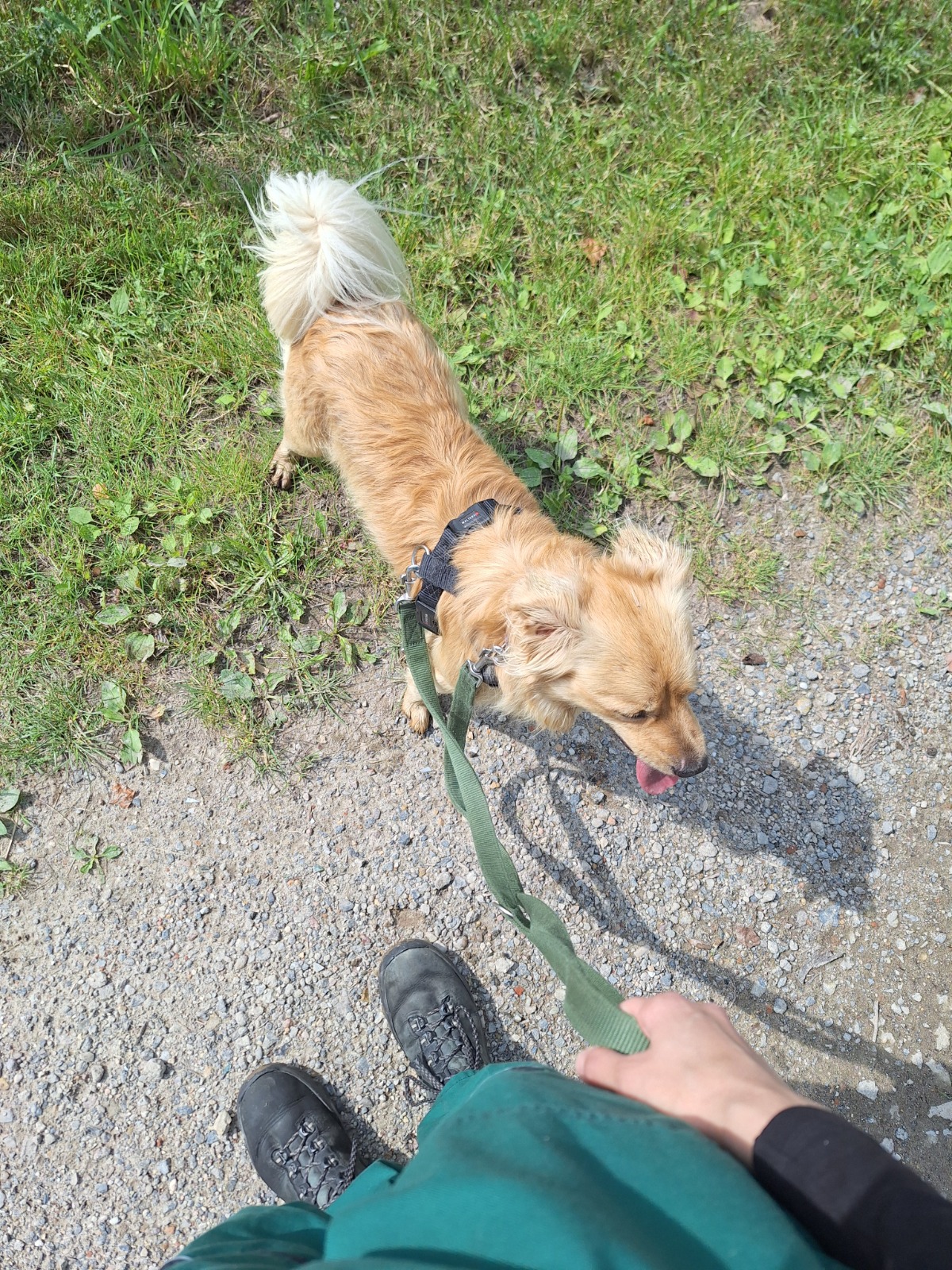 image-9
