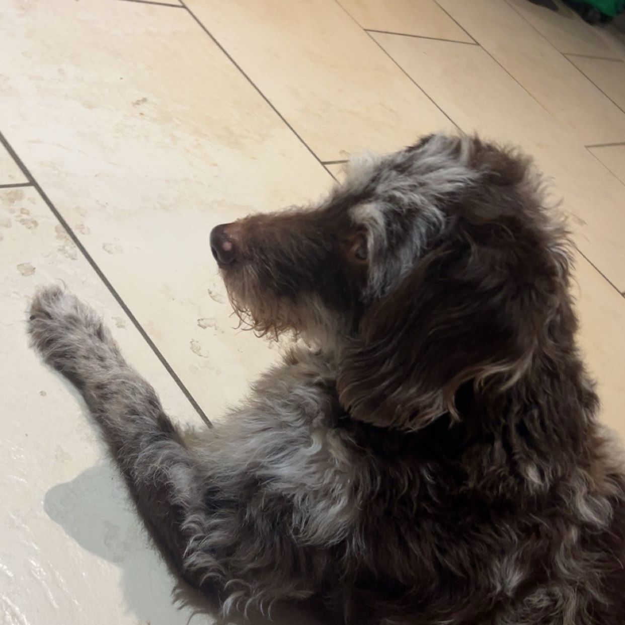 Marley
