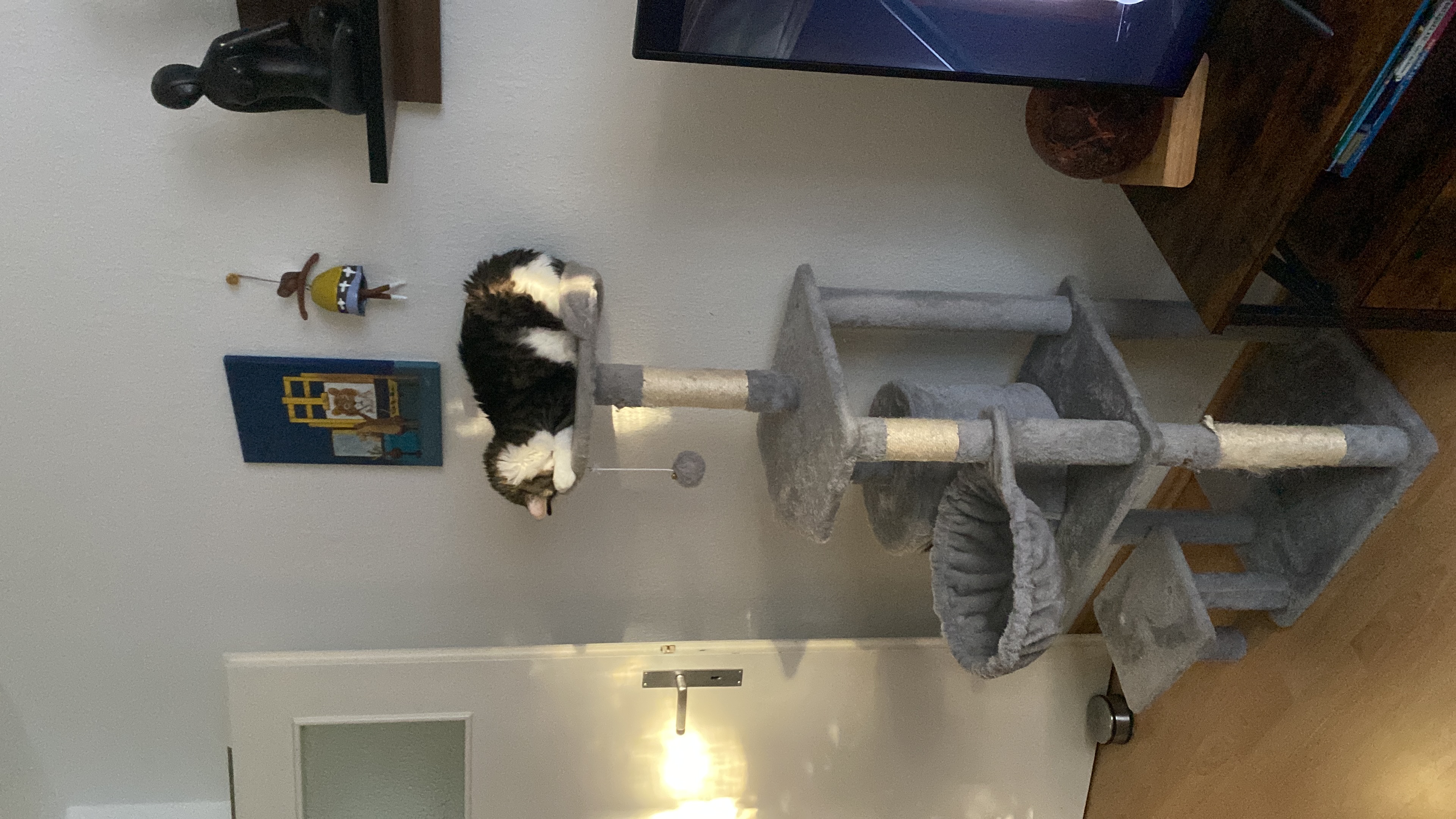 image-18