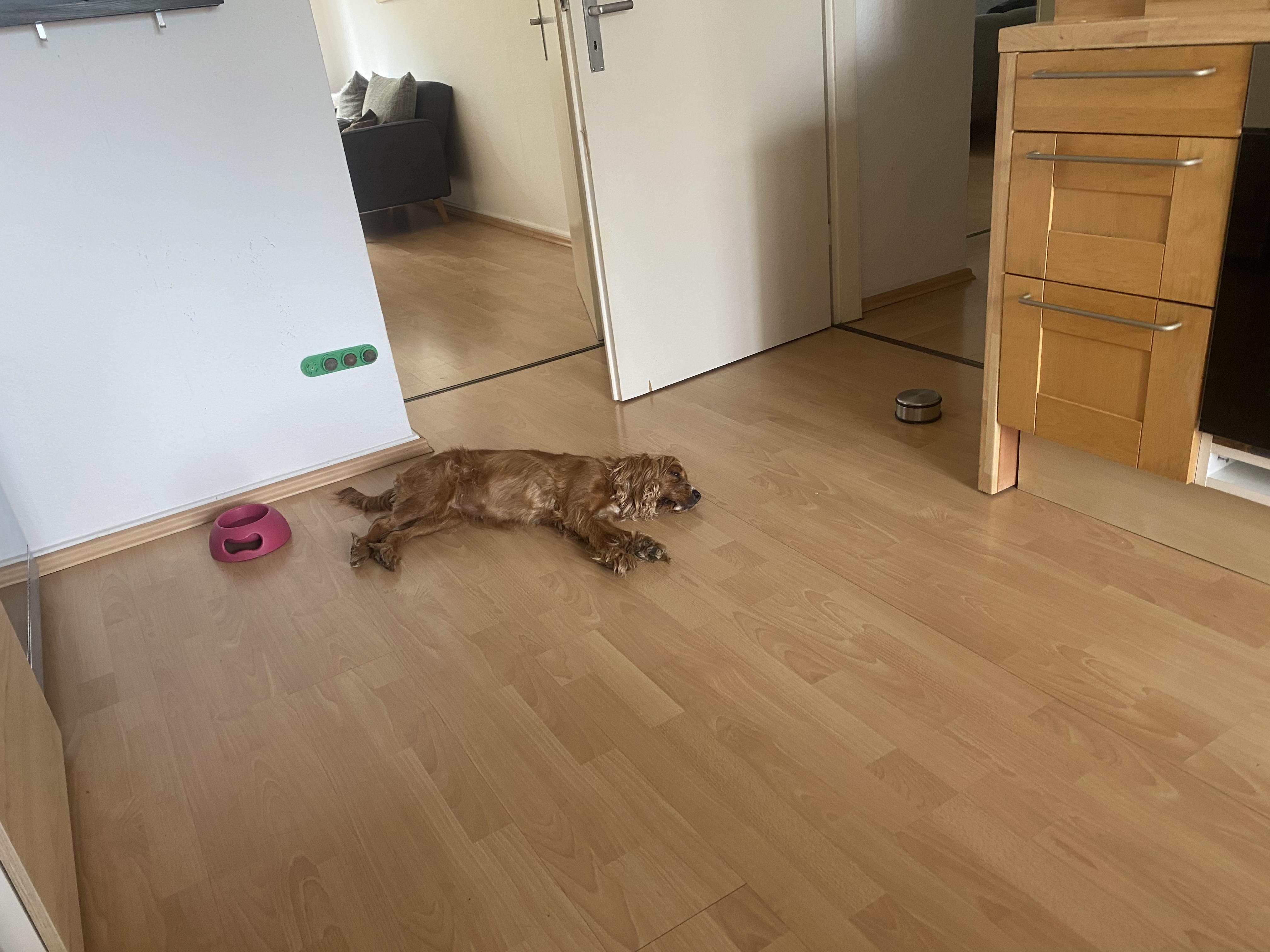 image-15