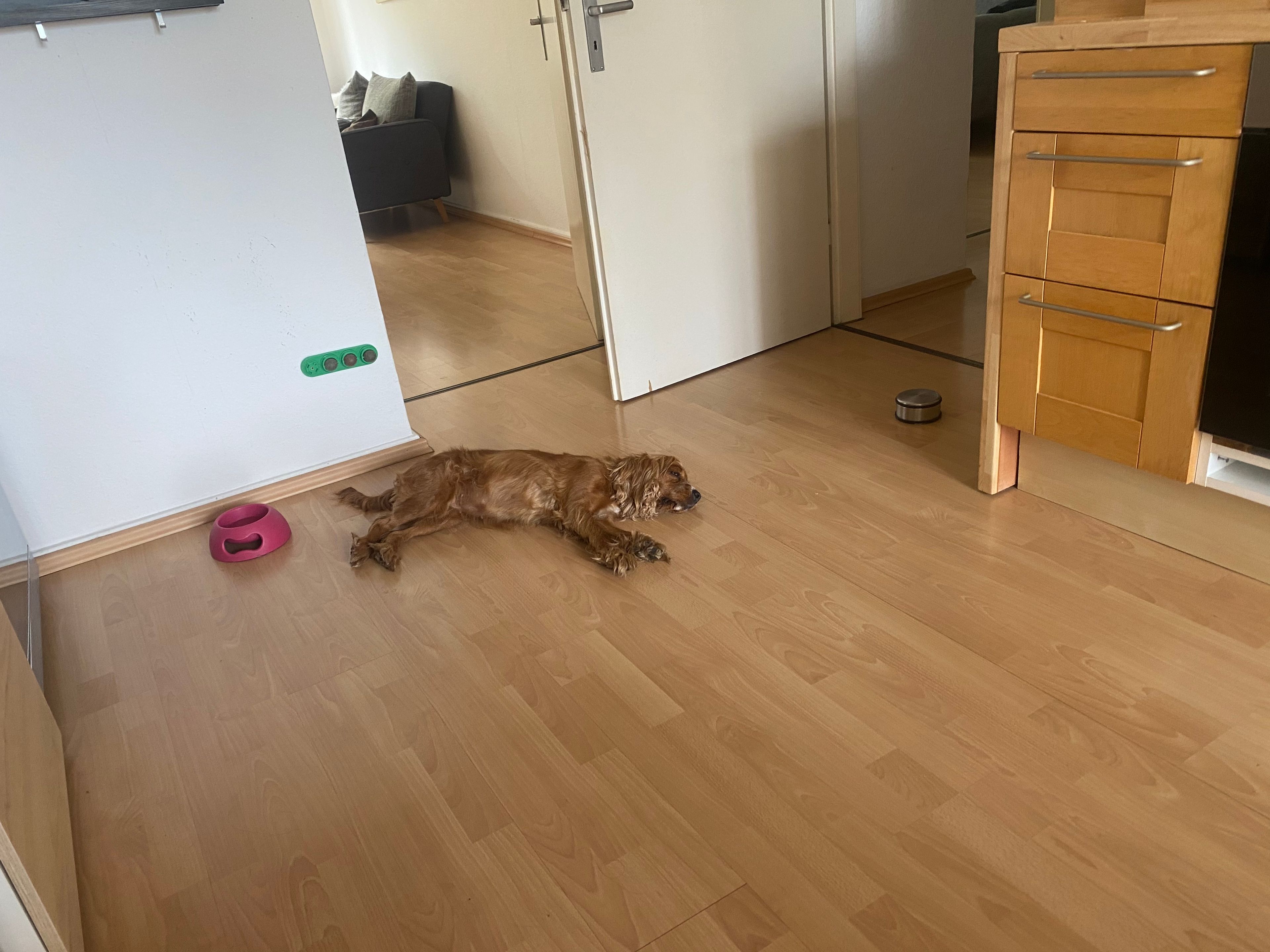 image-15