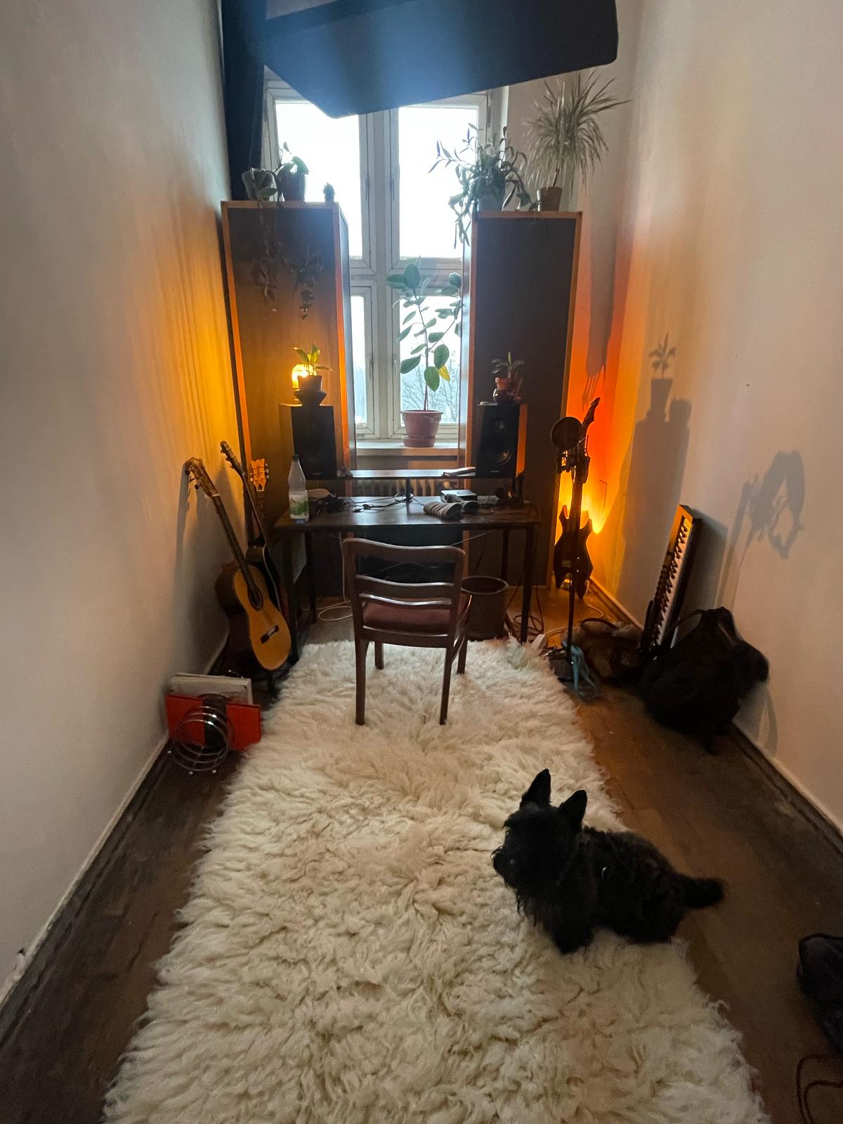 image-13