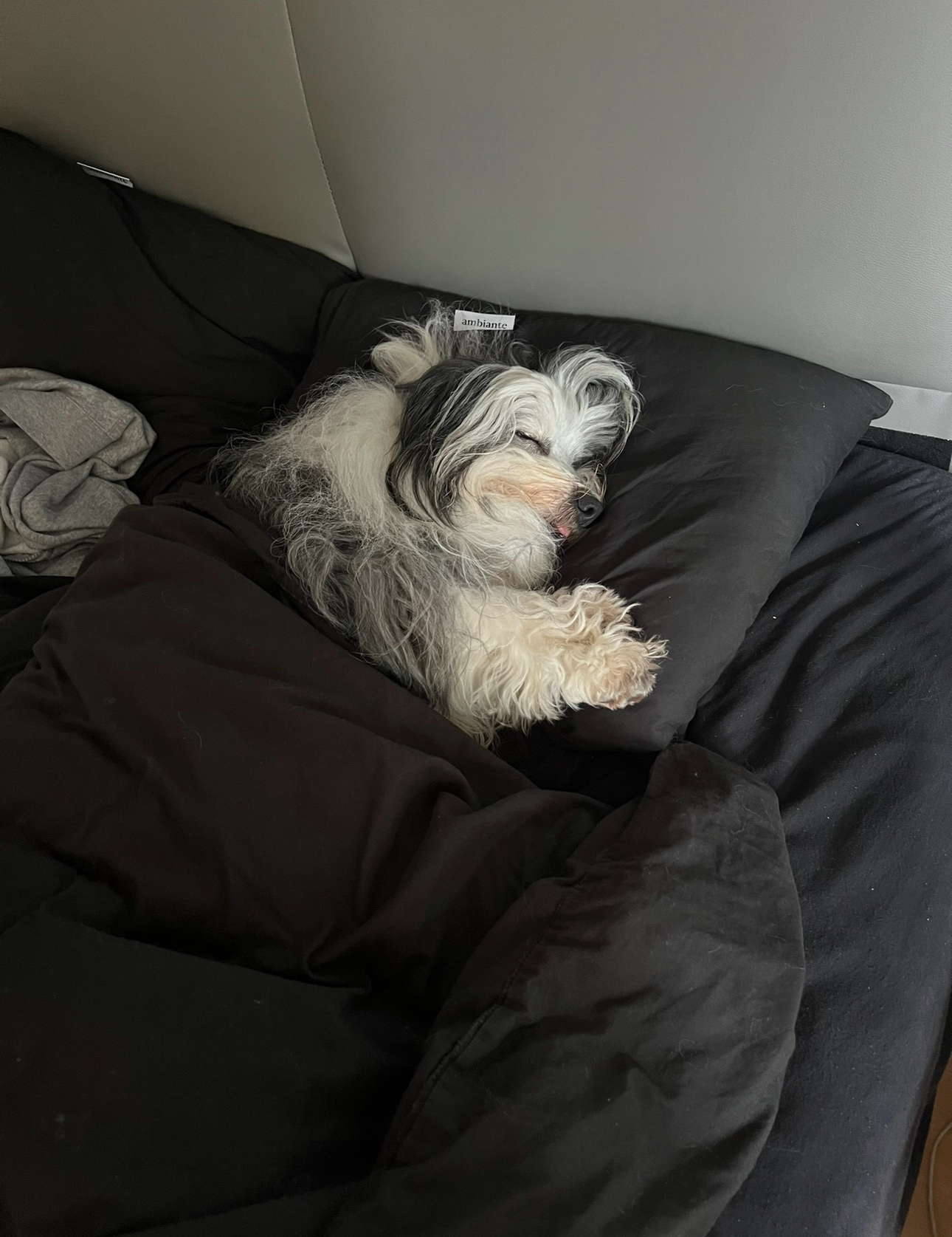 image-9