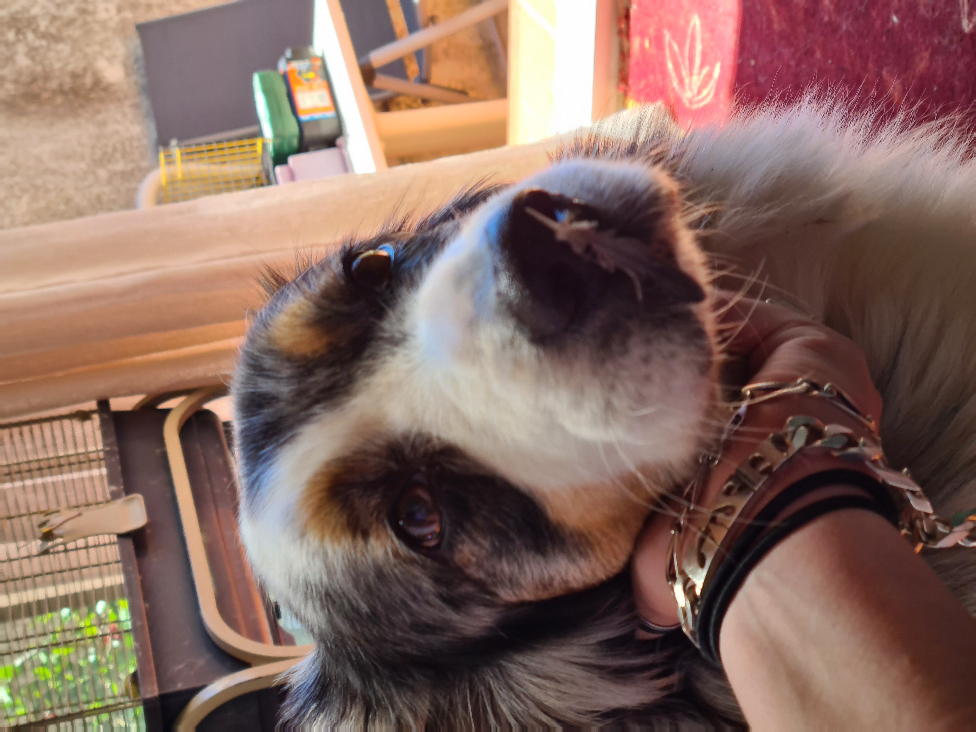image-7