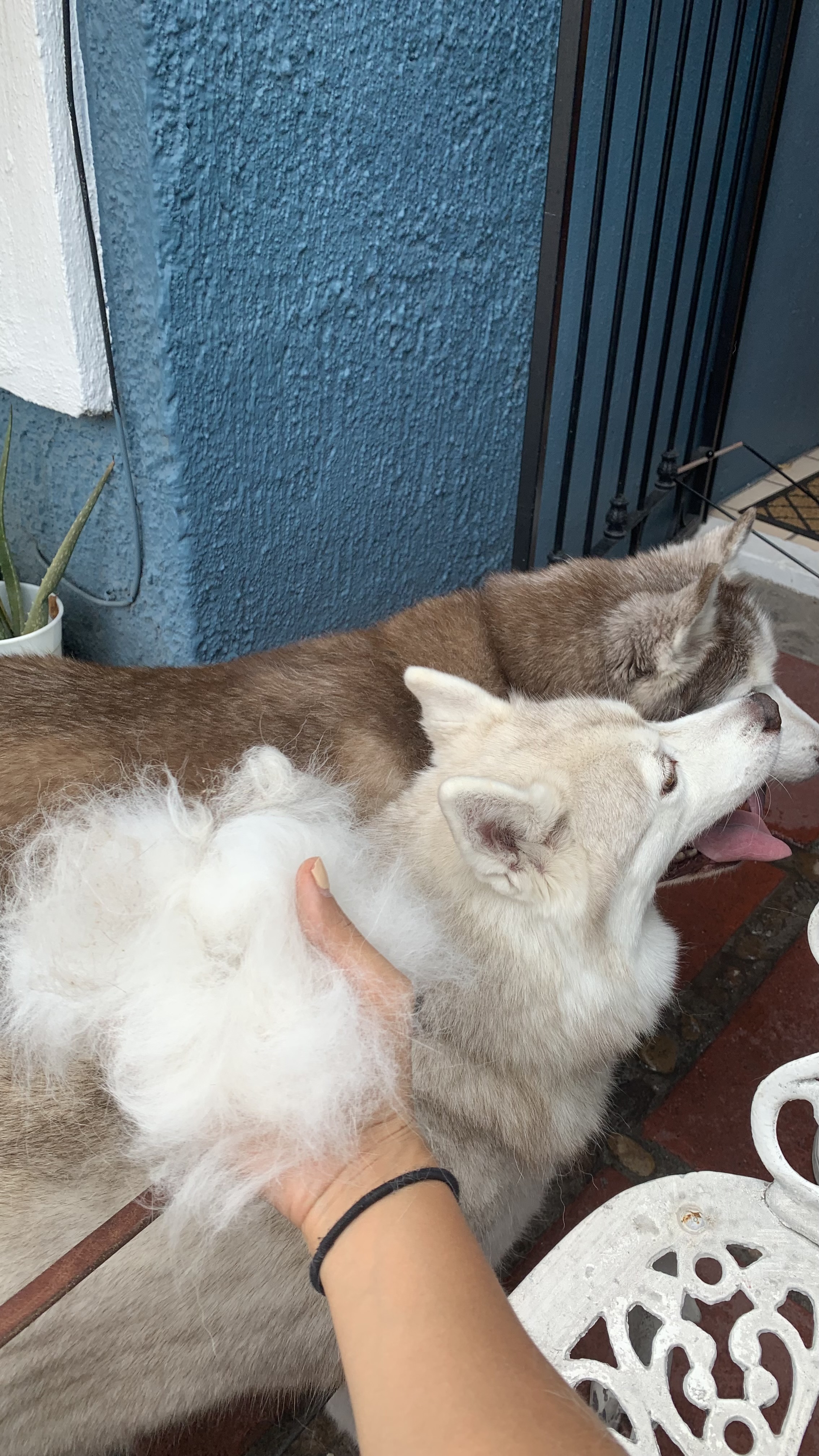 image-6