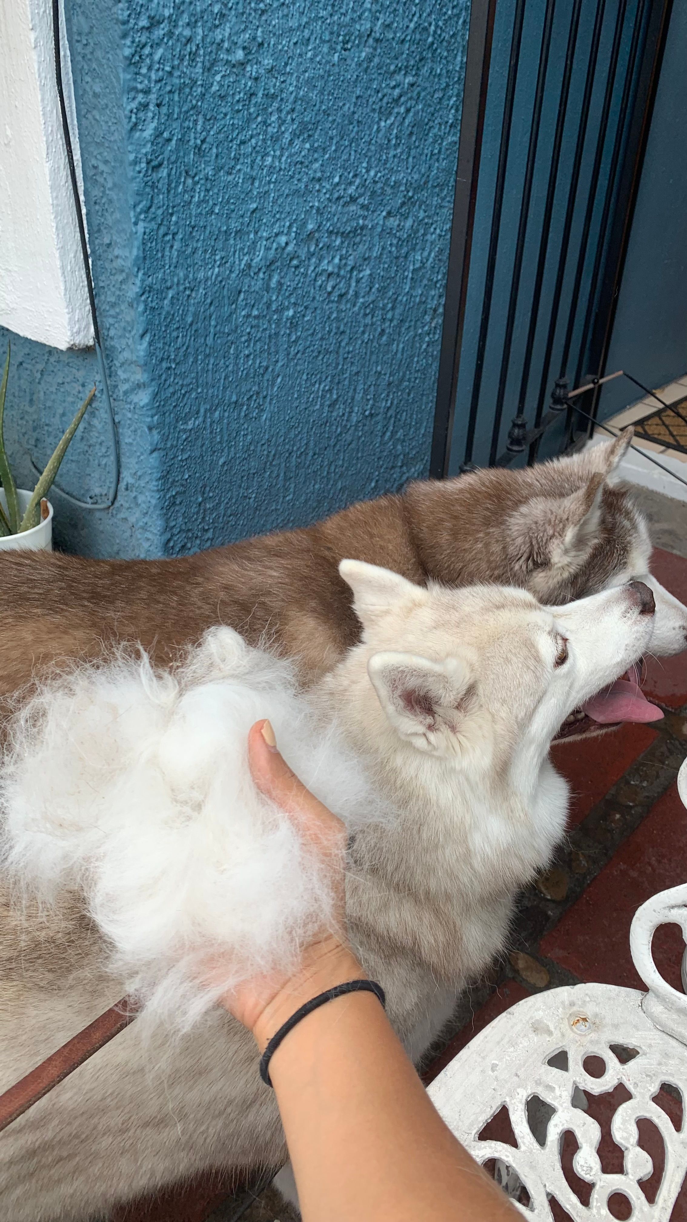 image-6