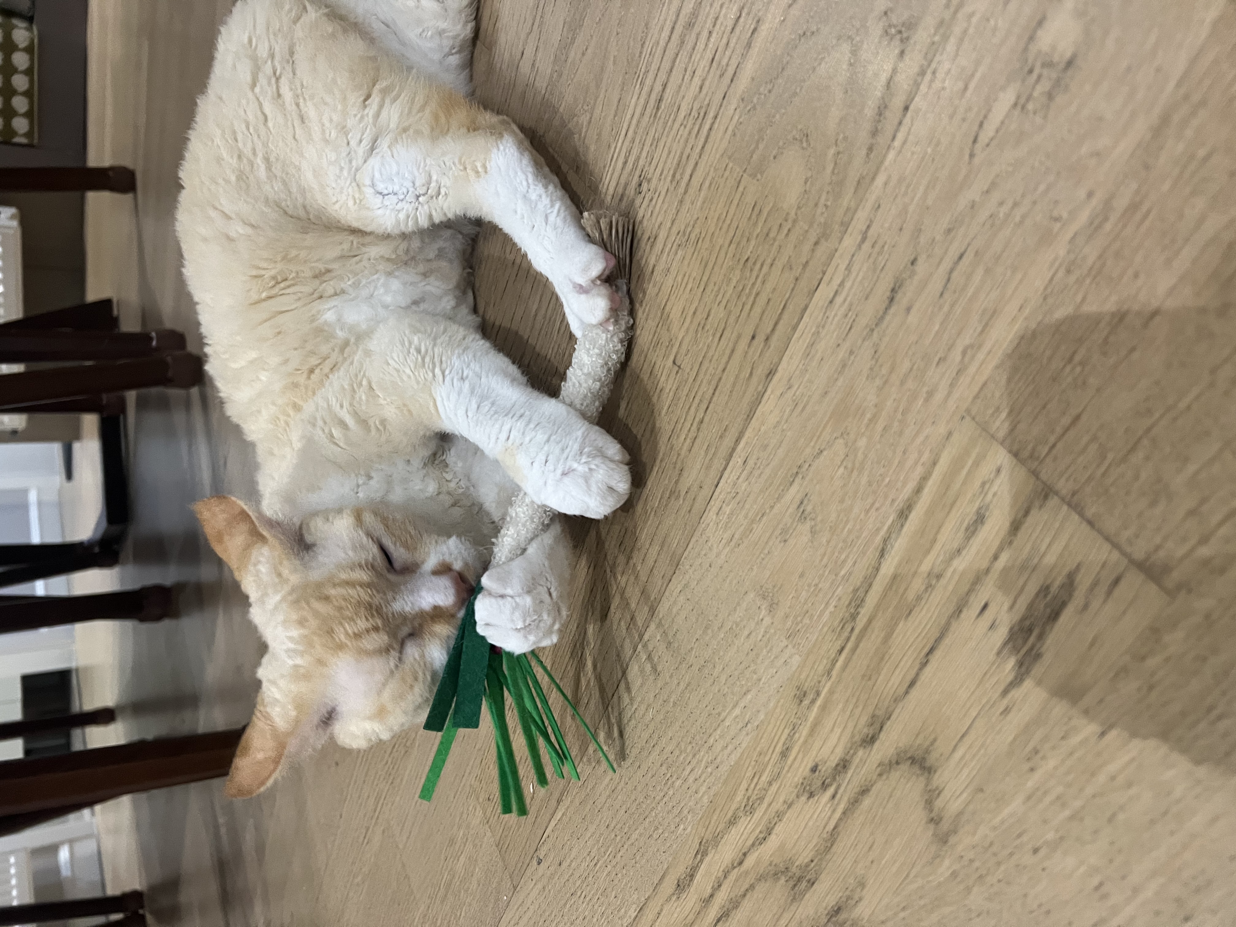 image-7