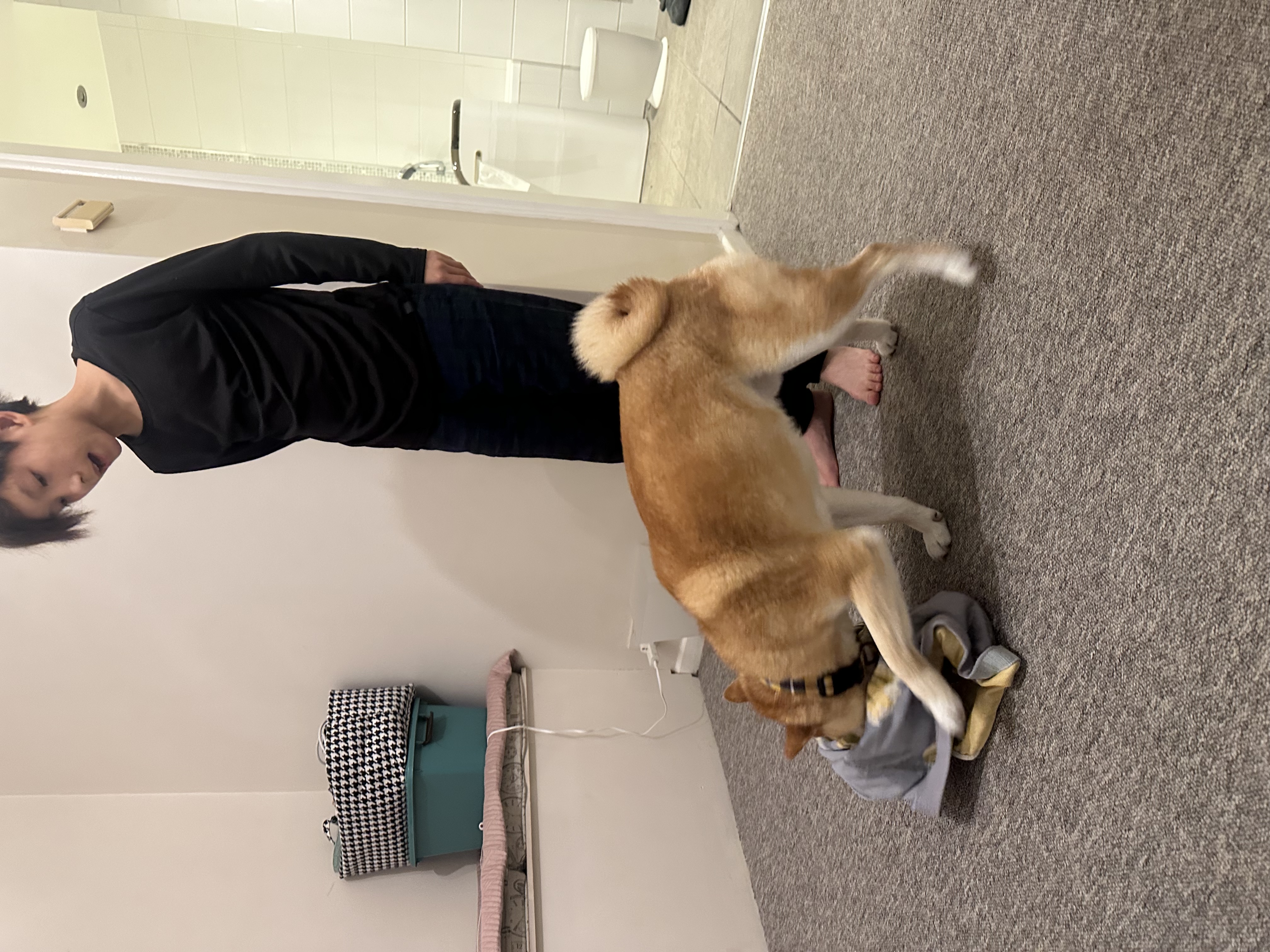 image-6