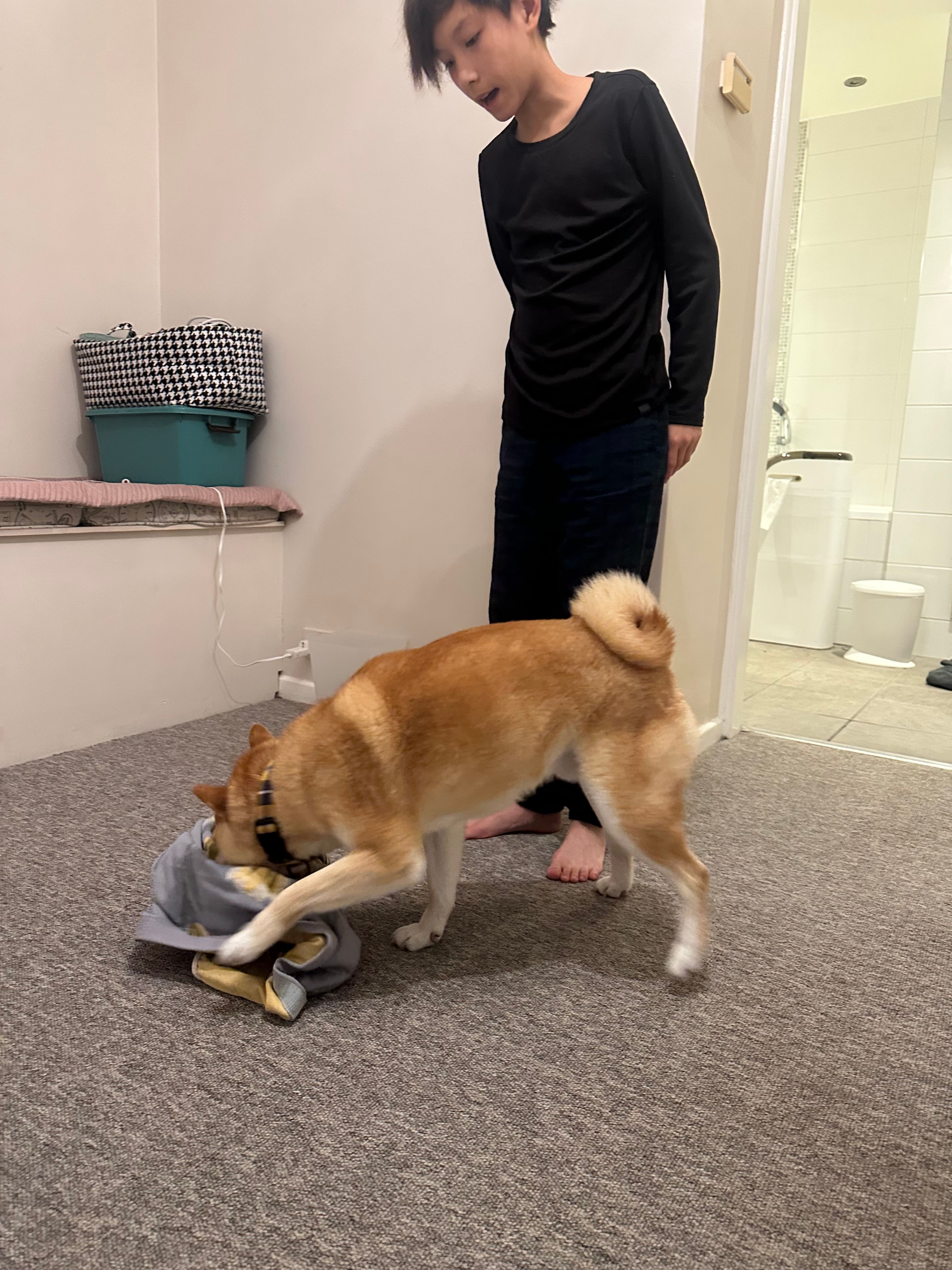 image-6