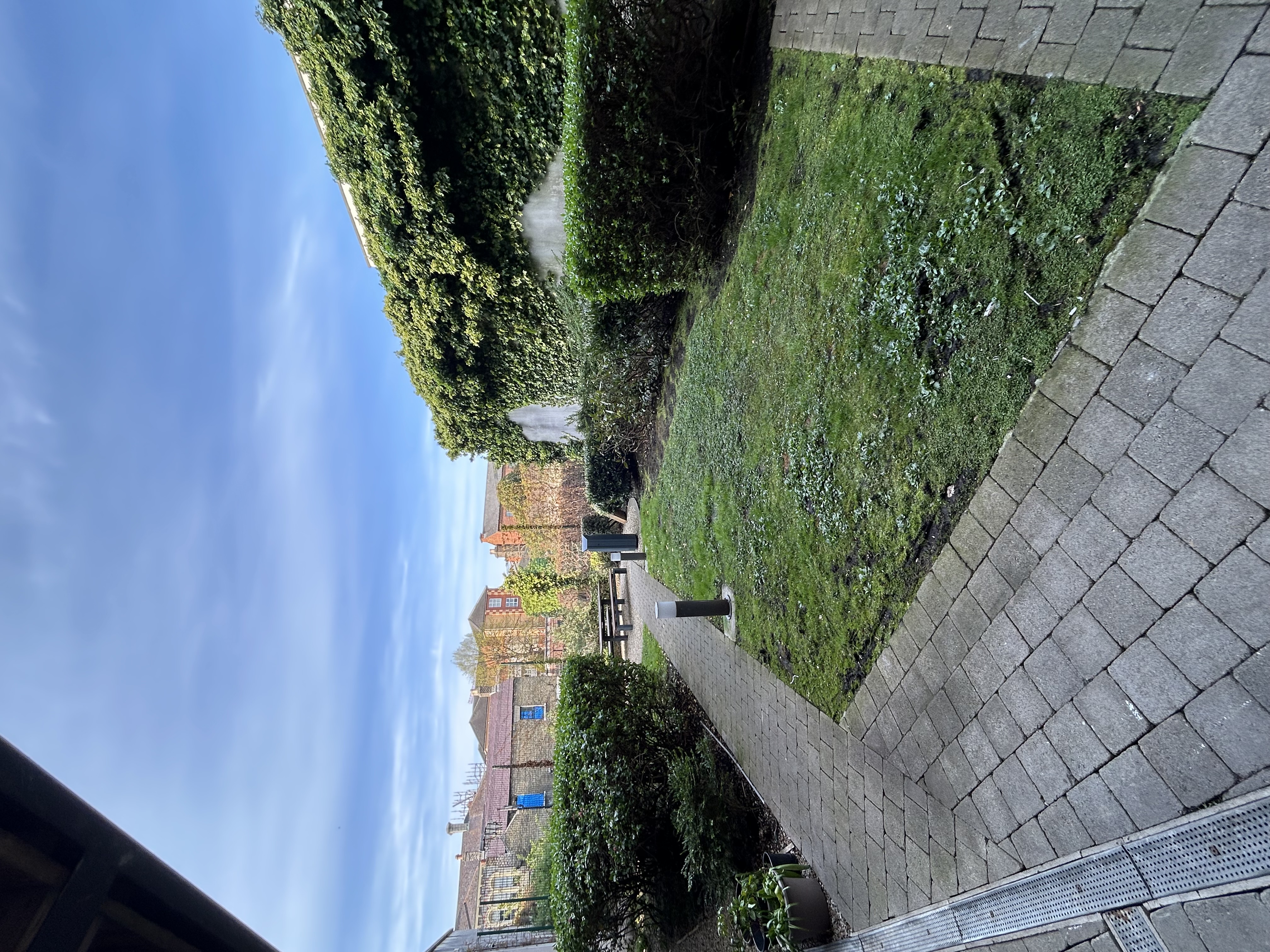 image-16