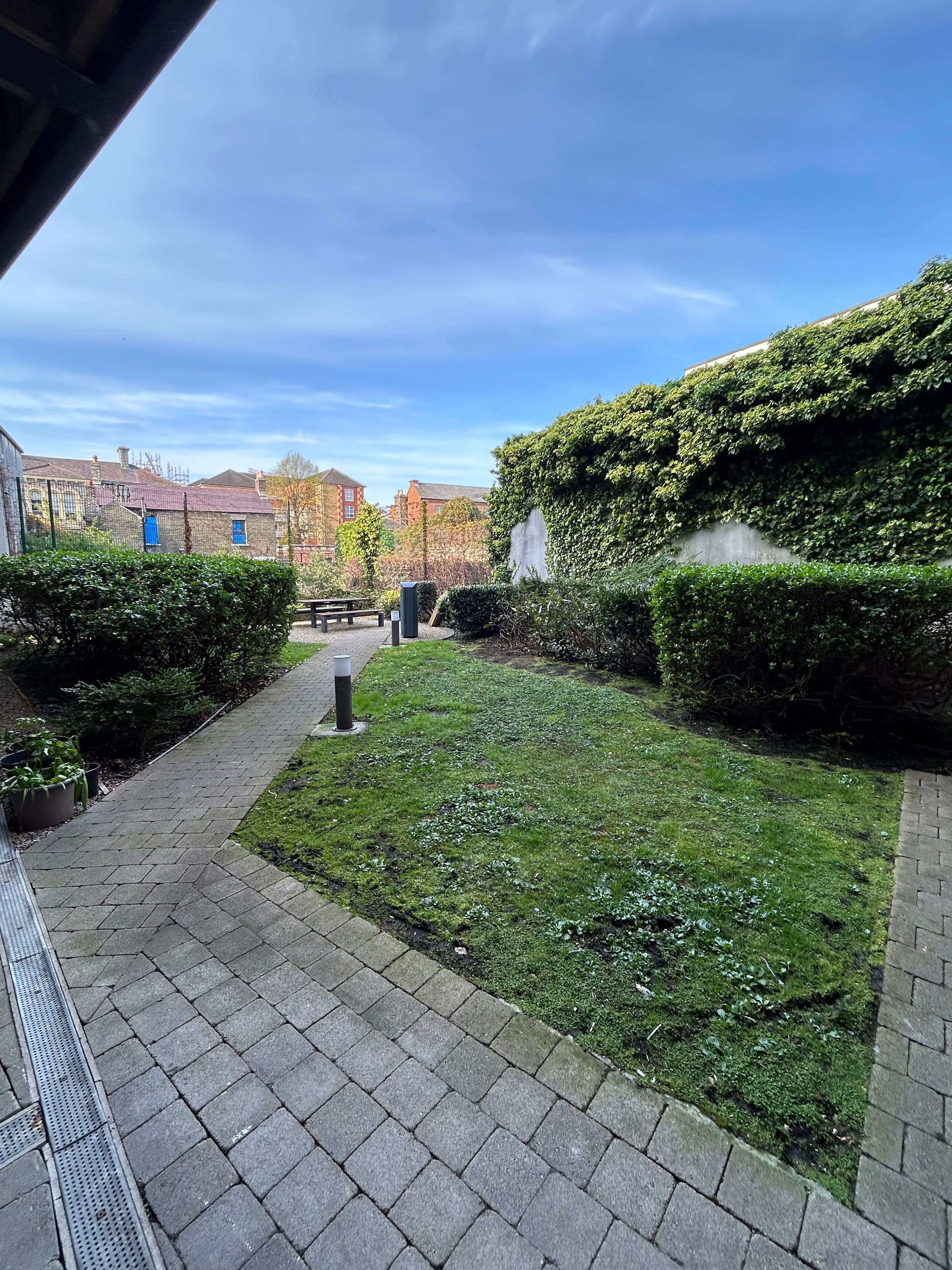 image-16