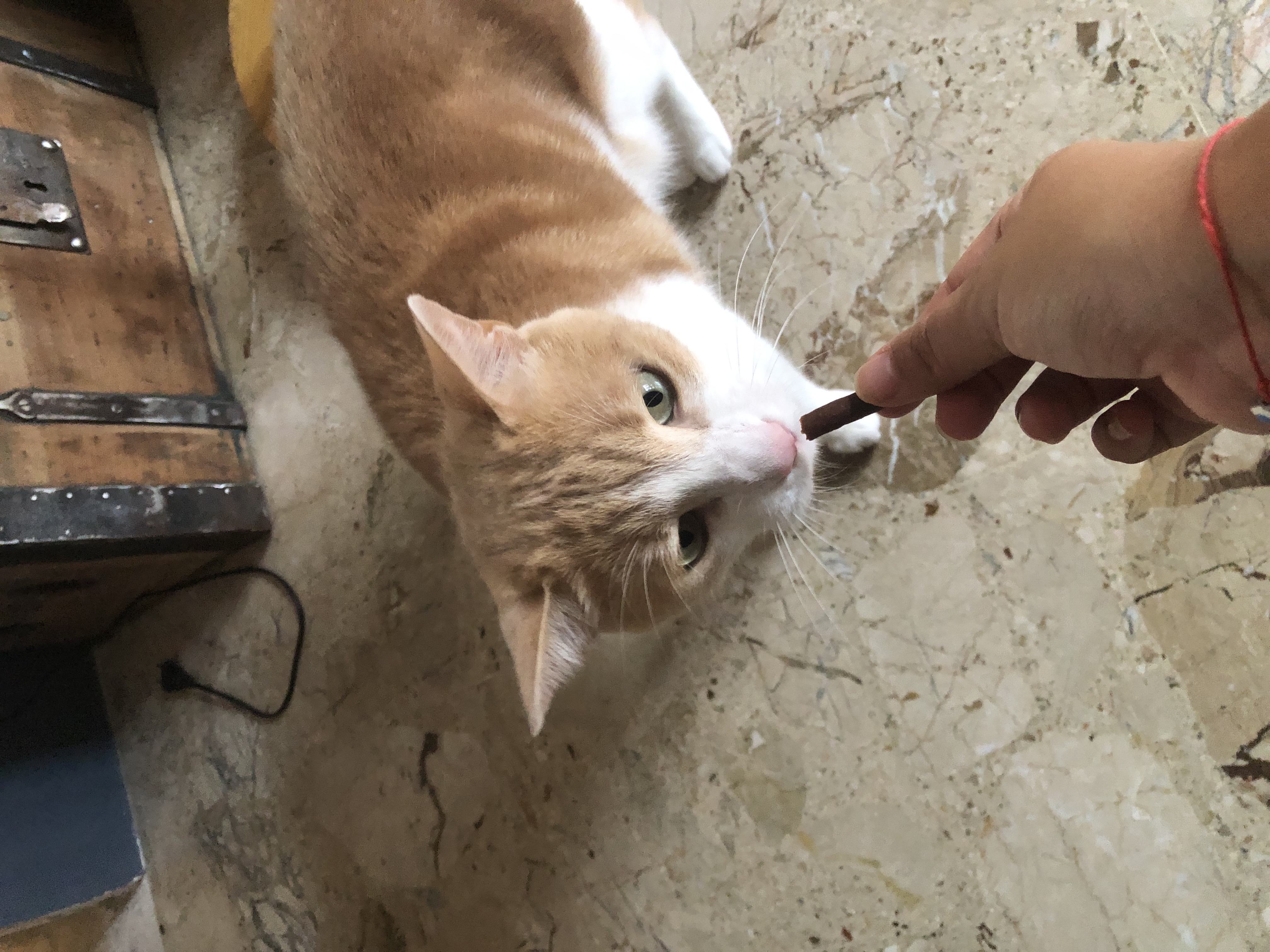 image-6