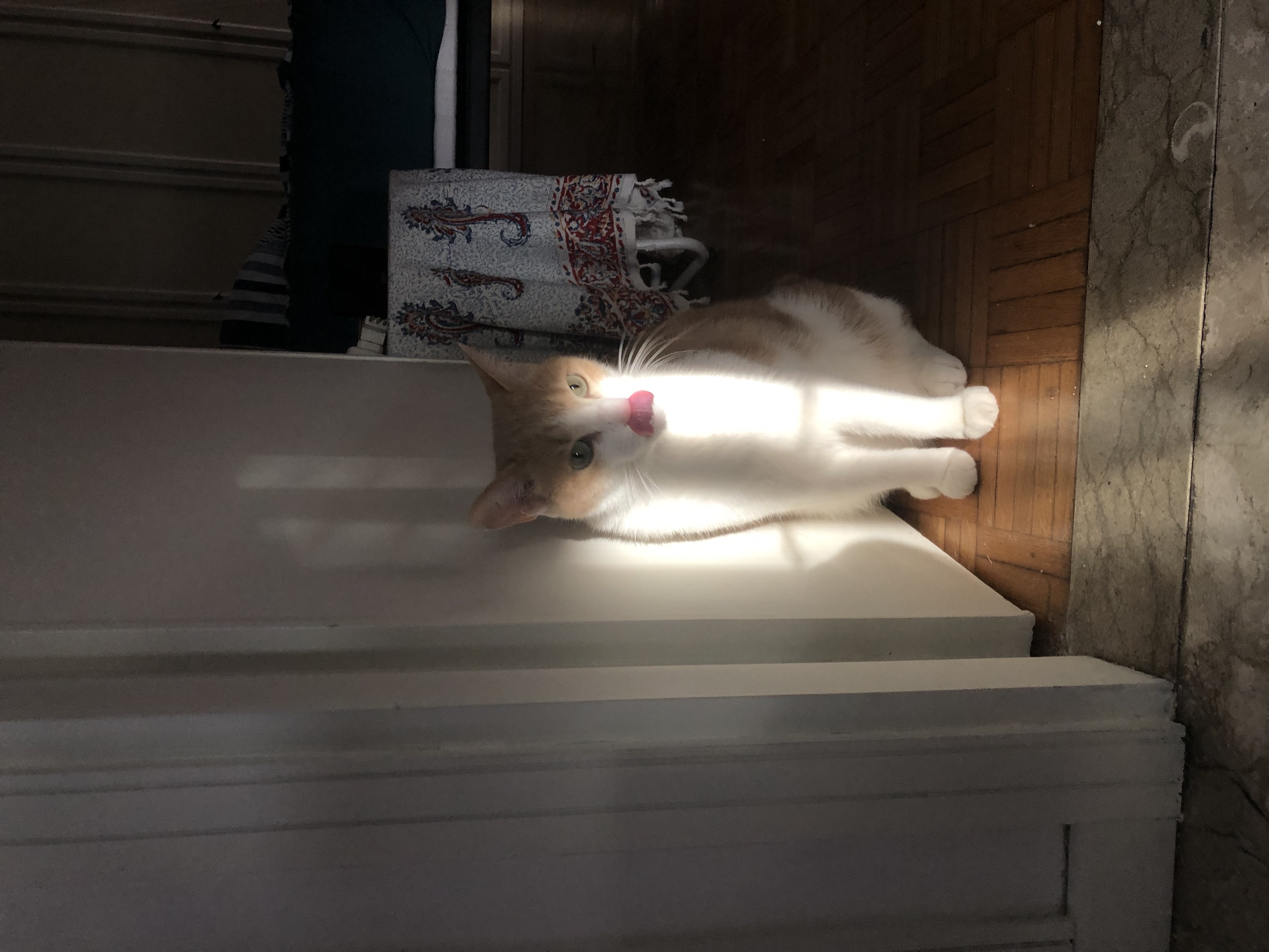image-7