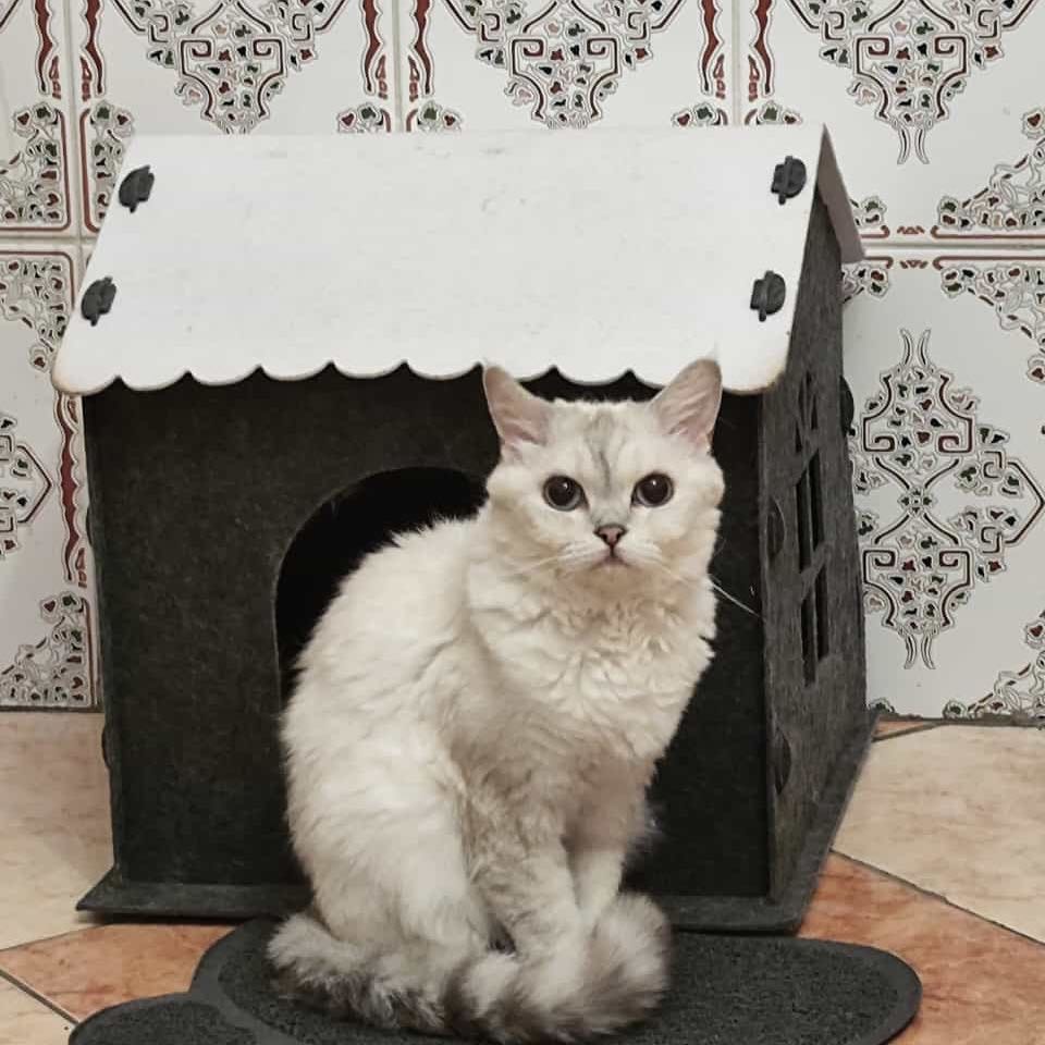 nala