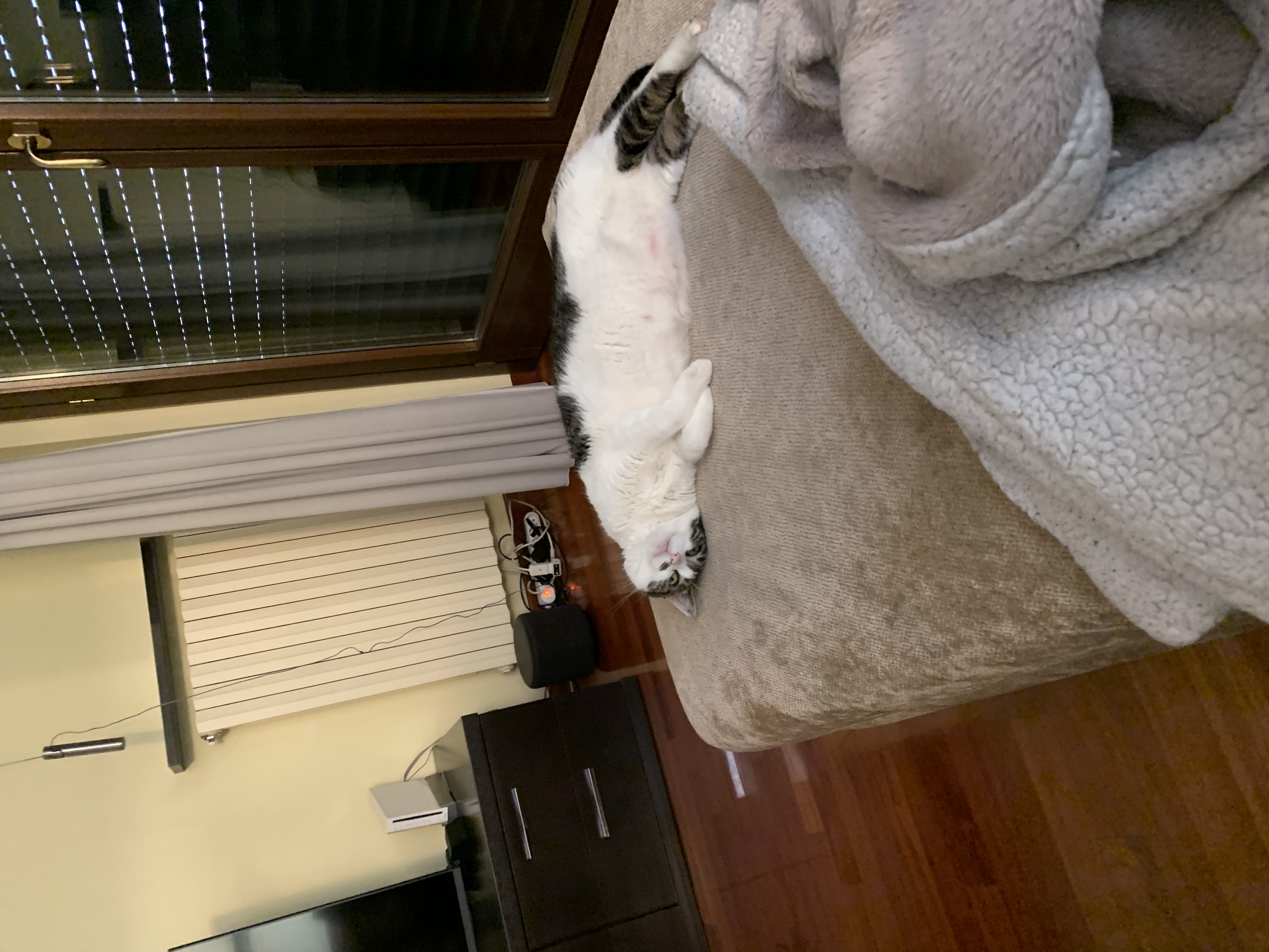 image-3