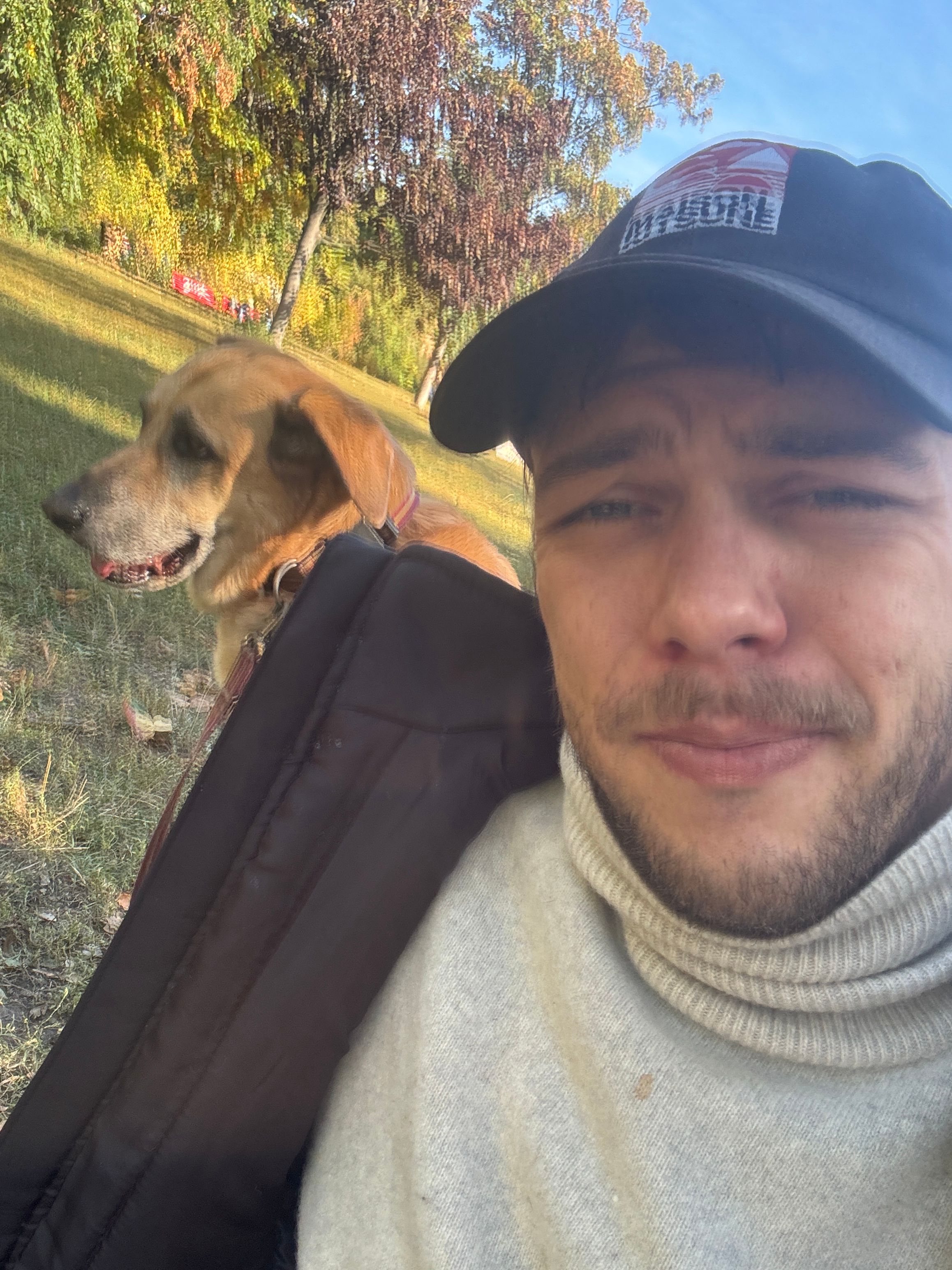 image-6