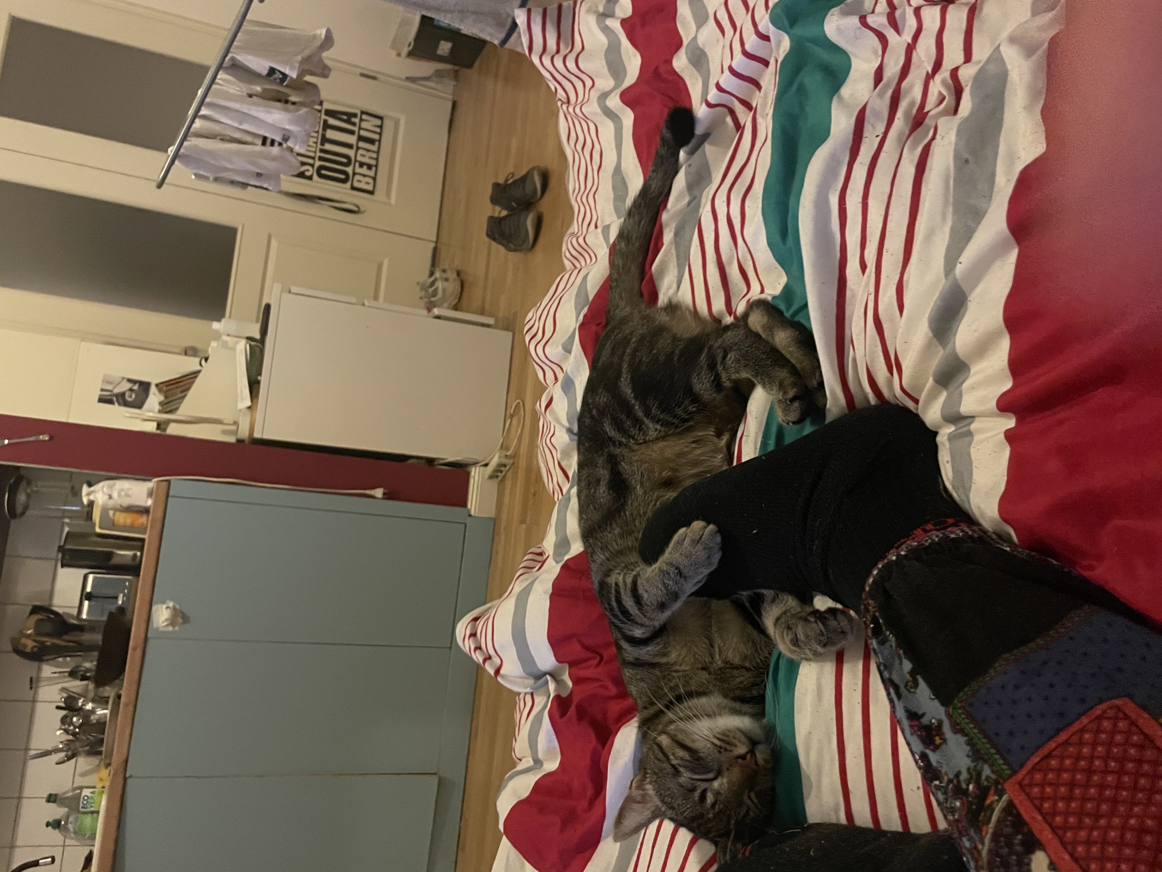 image-15