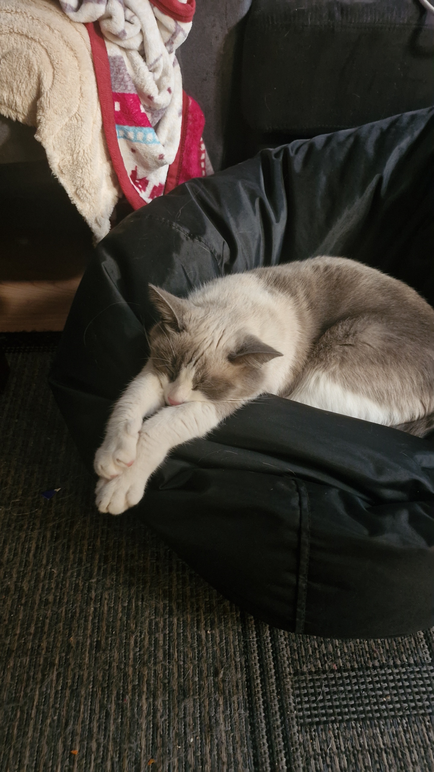 image-8