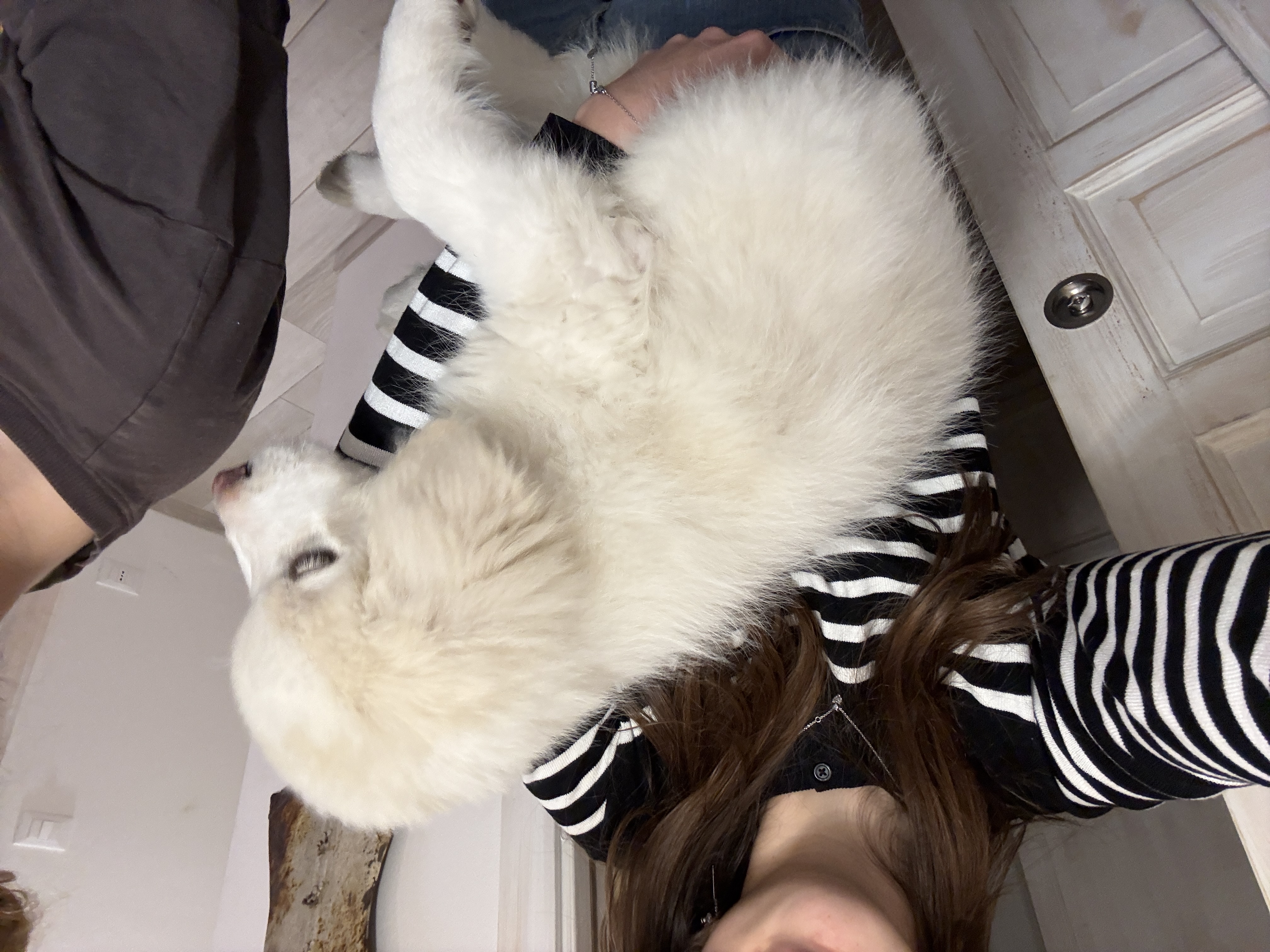 image-11