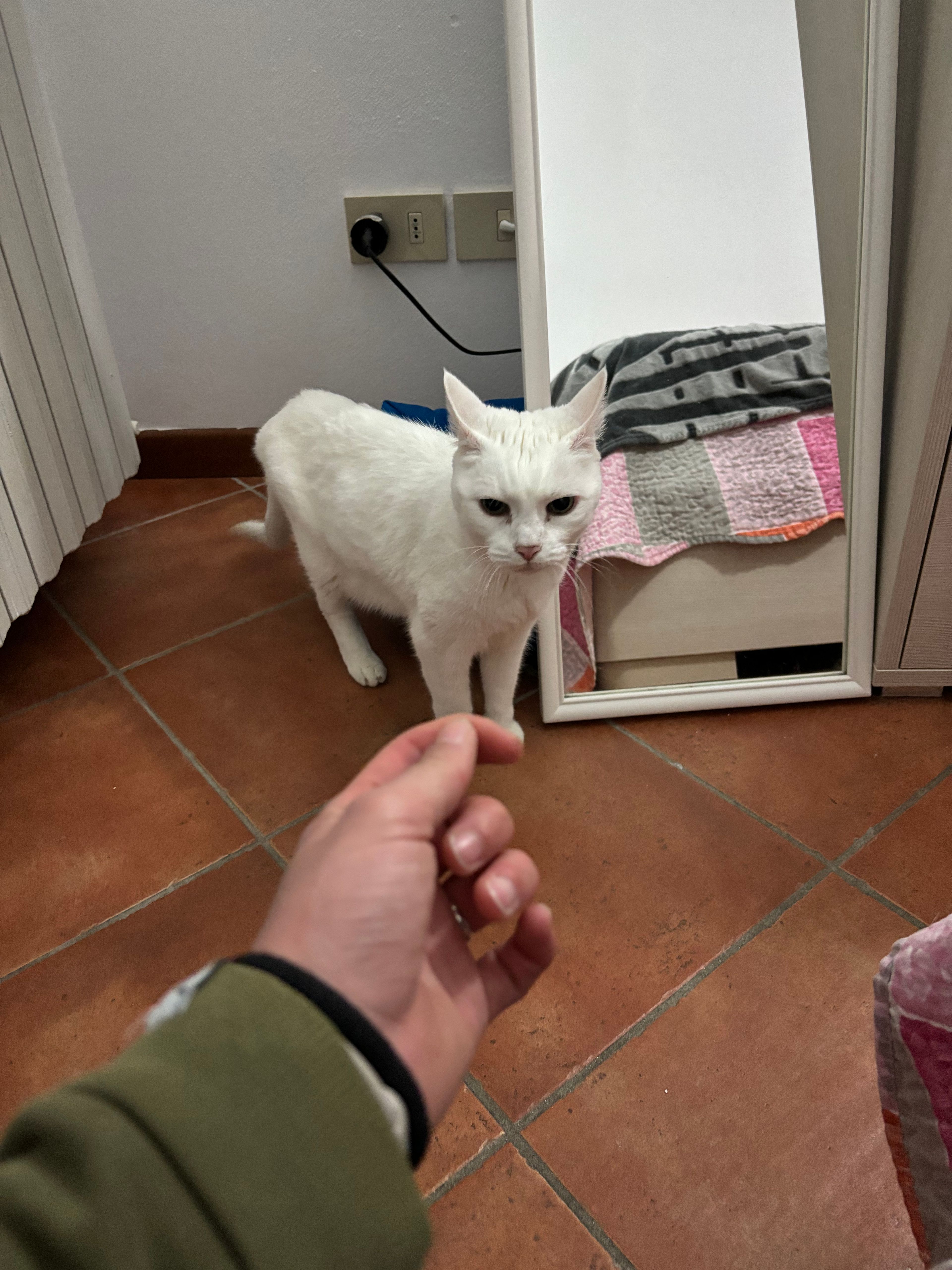image-6