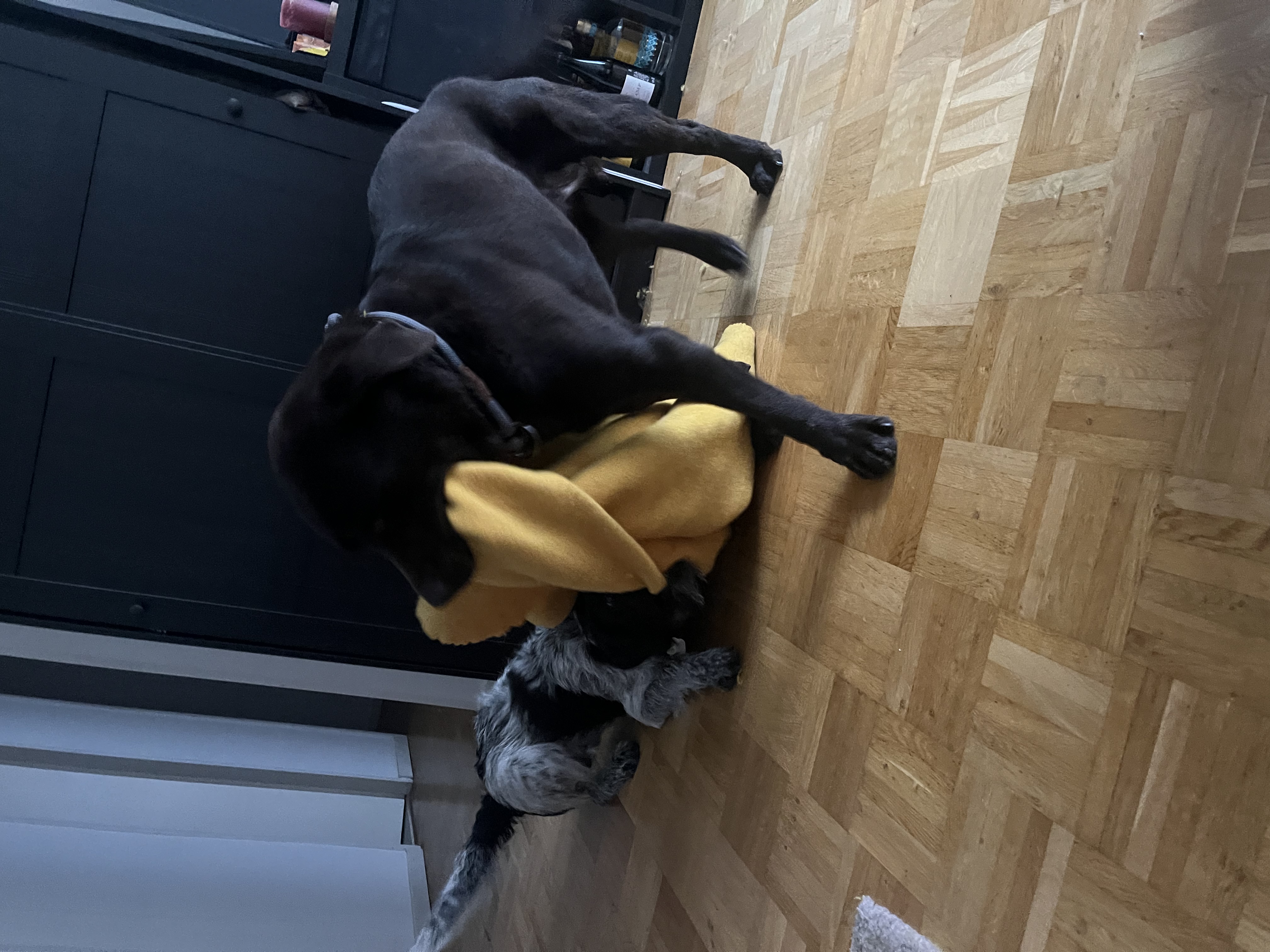 image-10