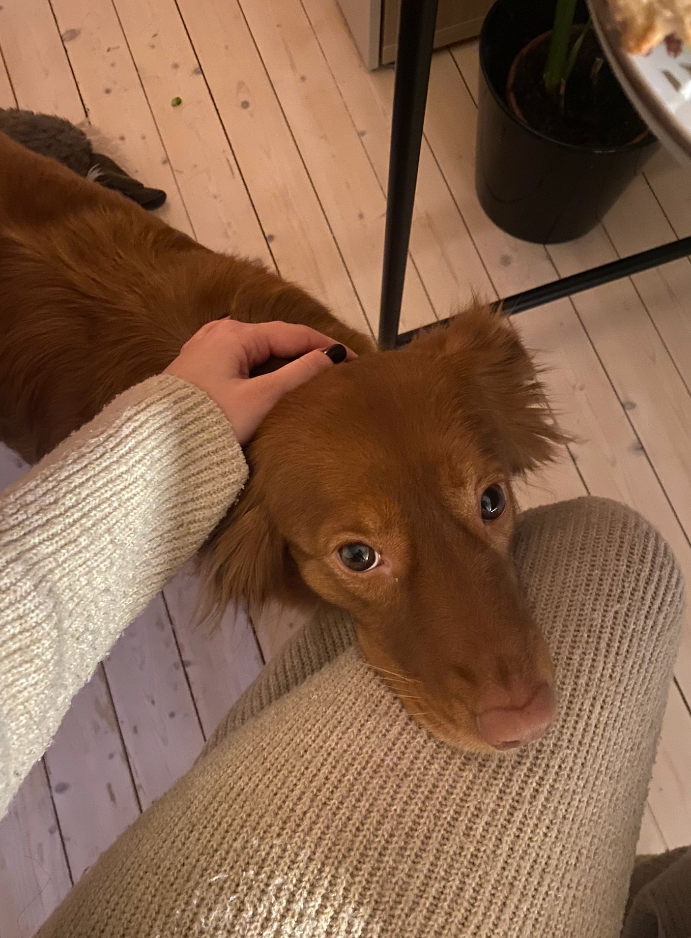 image-6