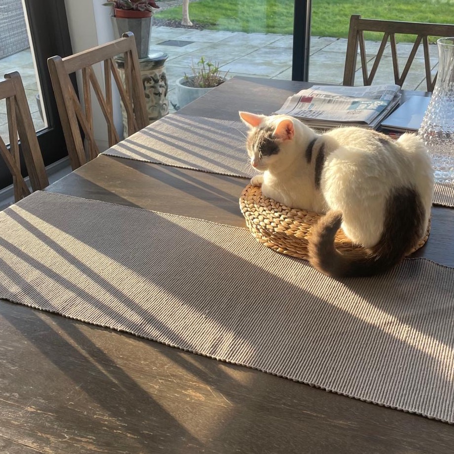 Gigi