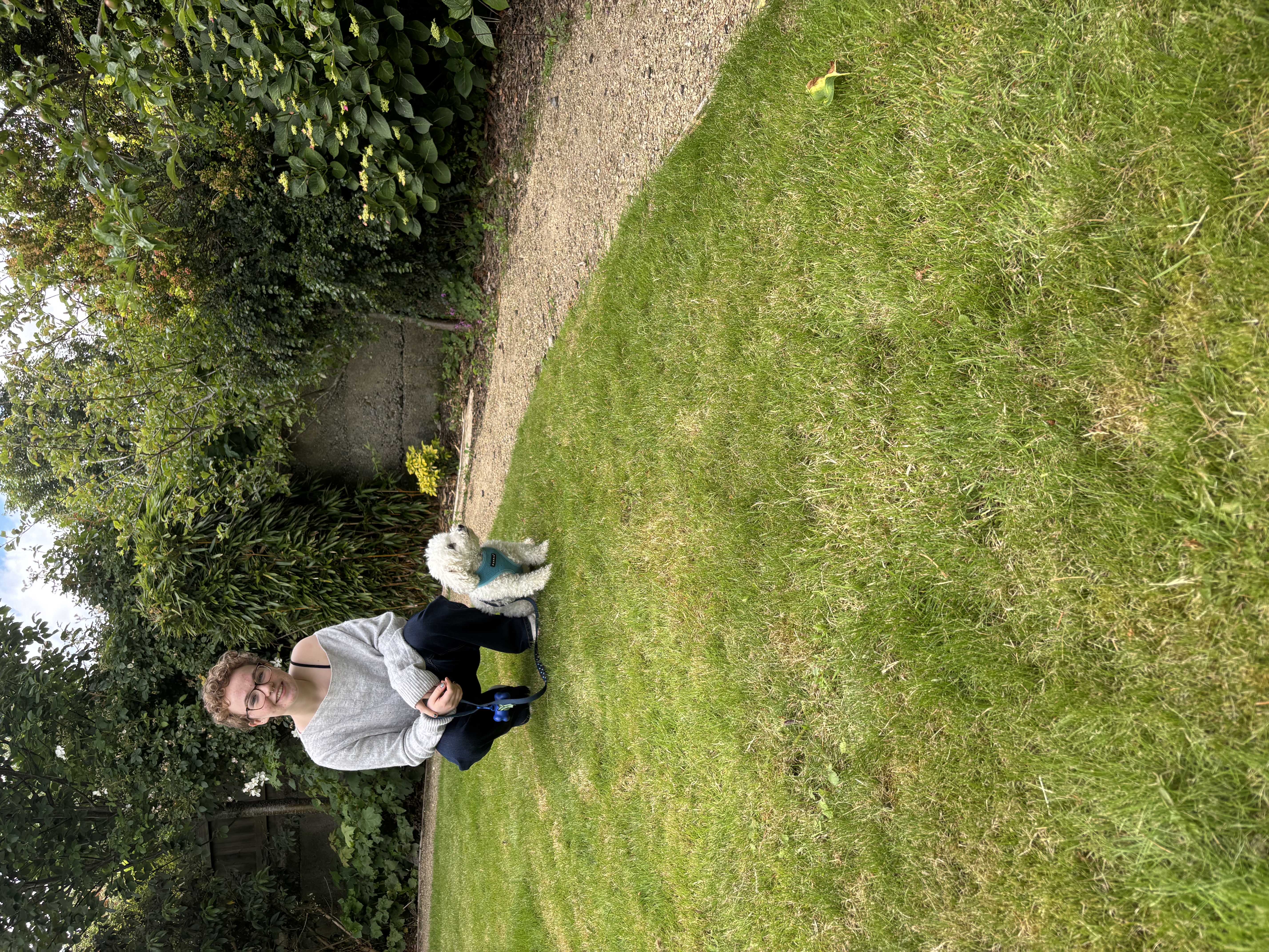 image-3