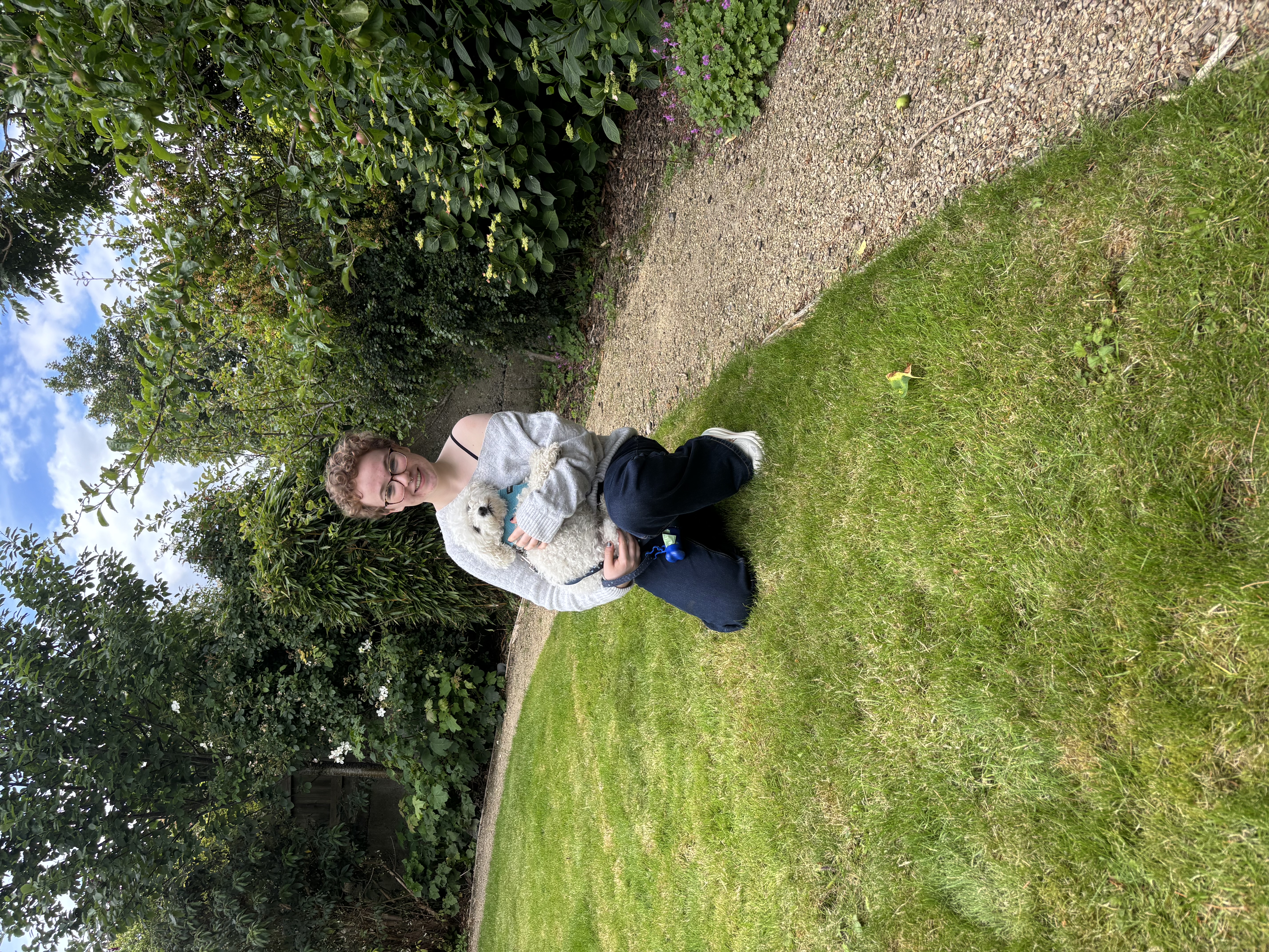 image-8