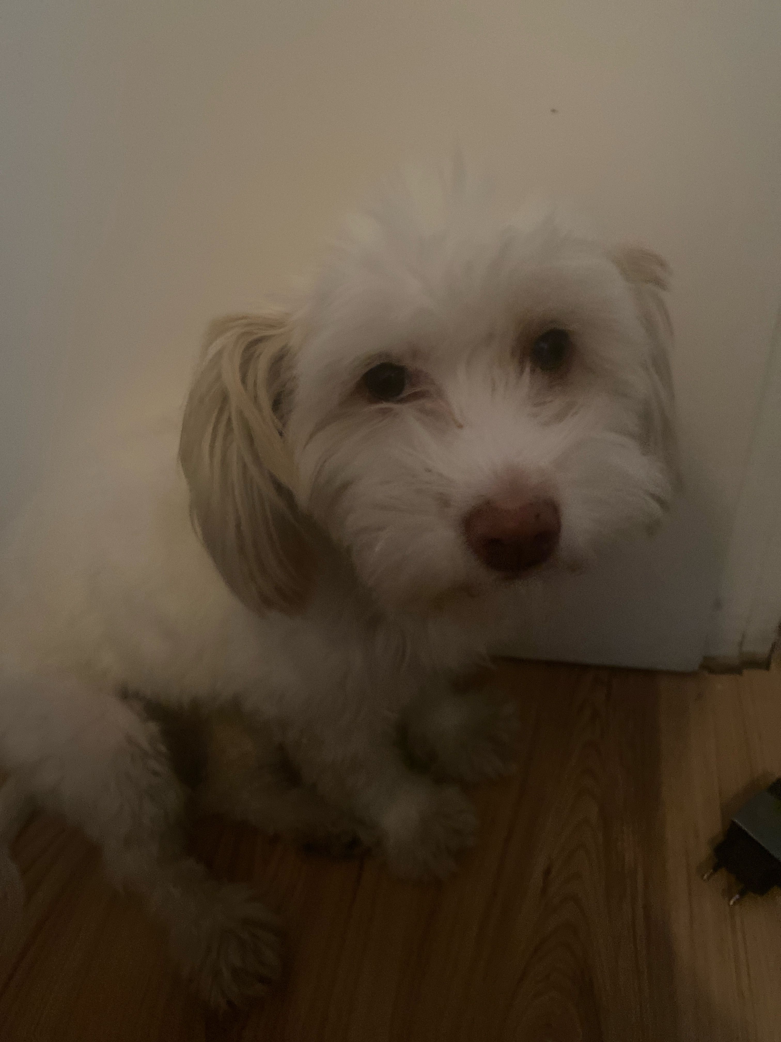 image-7