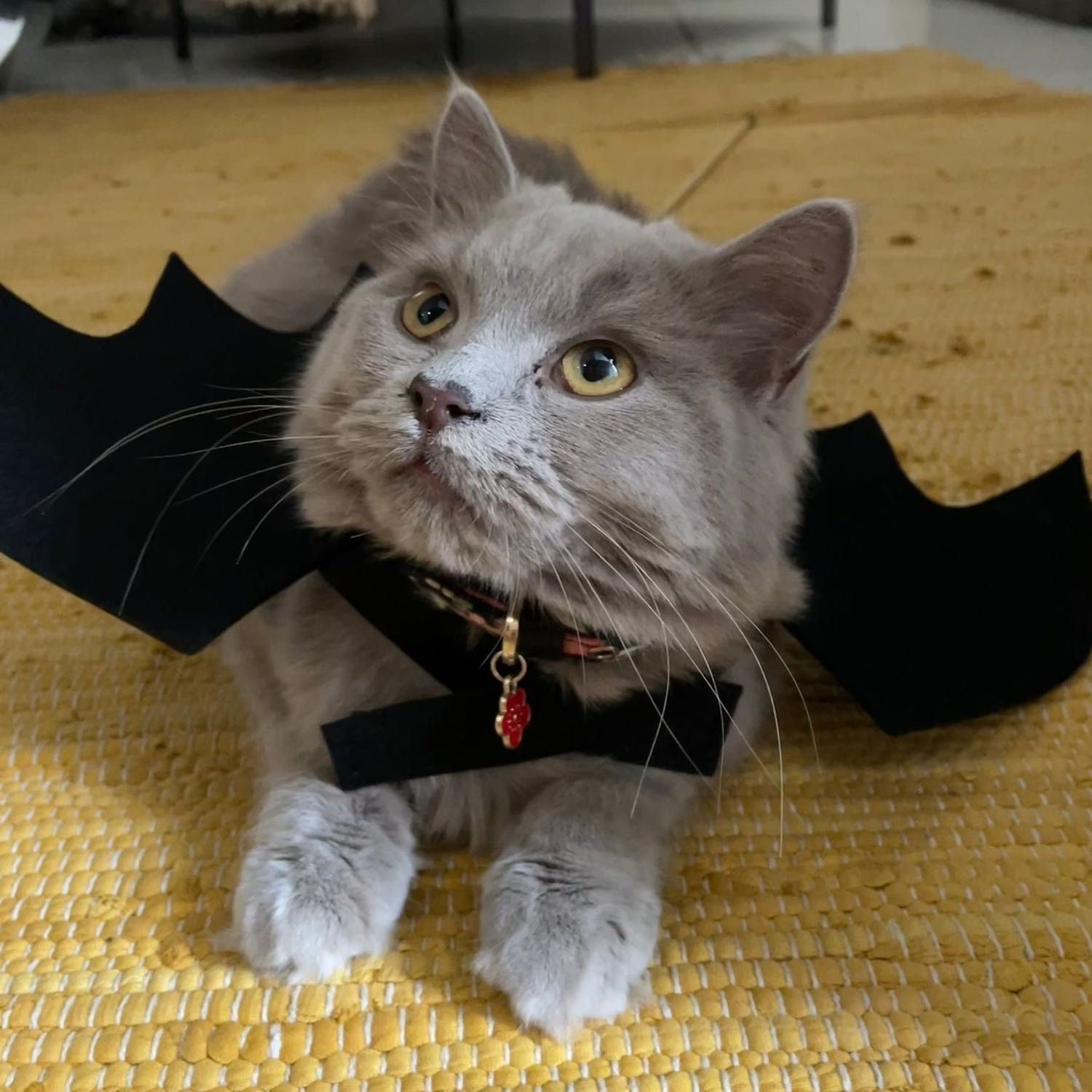 Luna