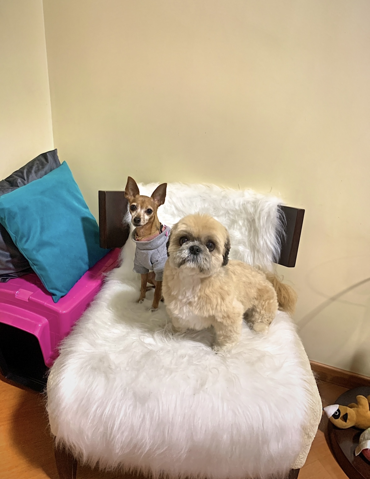 image-7